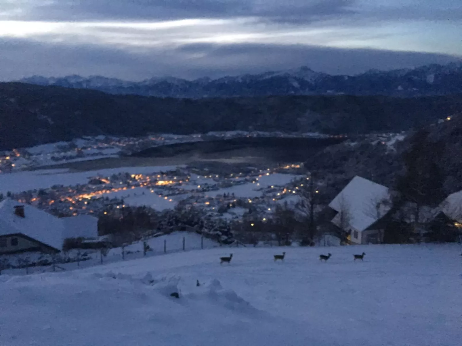 Appartement mit herrlichem Berg- und Seeblick