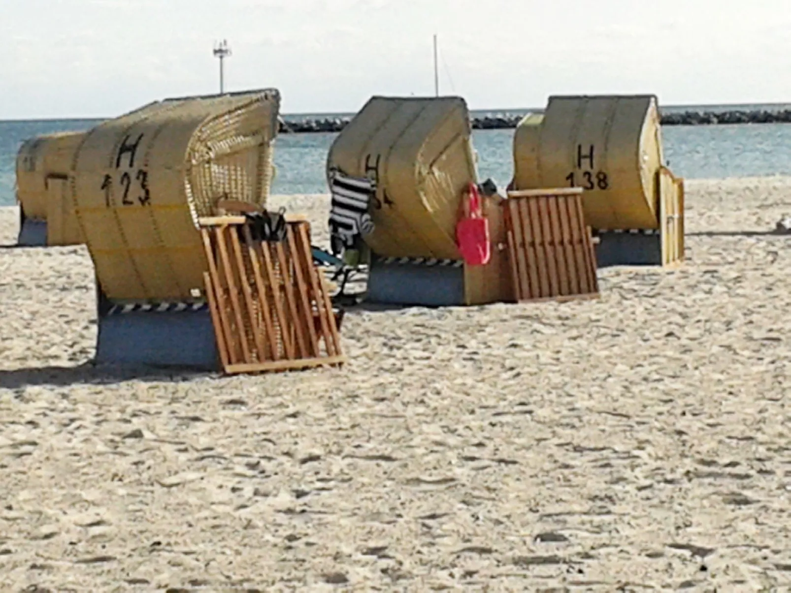 Heringsmöwe in Neue Tiefe