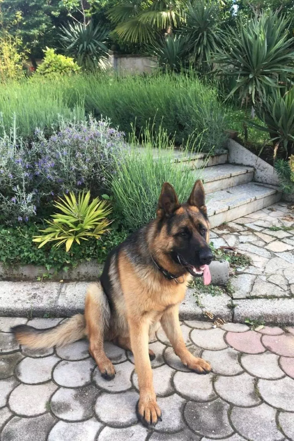 Erdgeschoss-Apartment A2