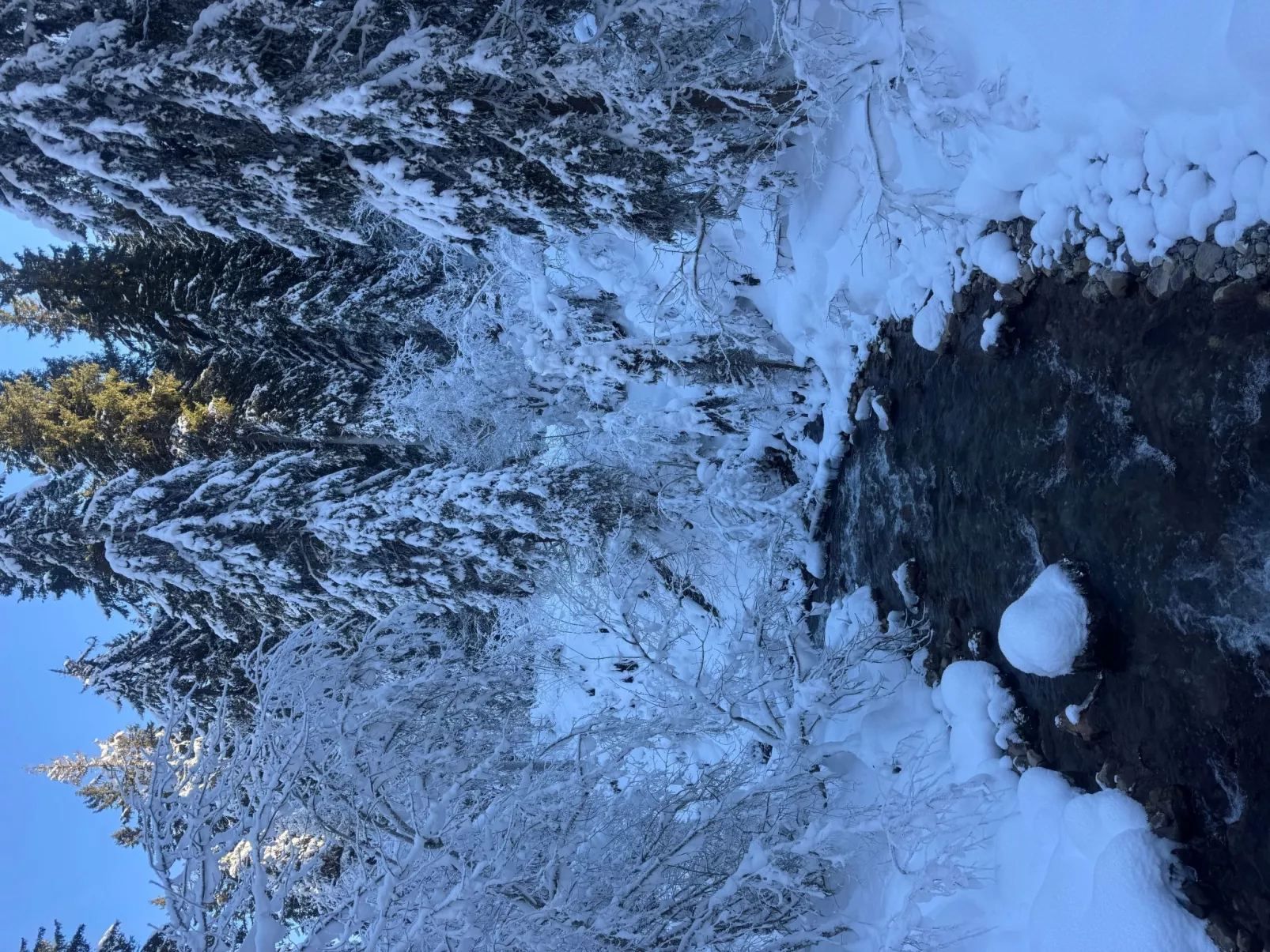 Morgins 6P, Ski-in Ski-out, Parkplatz, zentral, WiFI-Image-tags.info