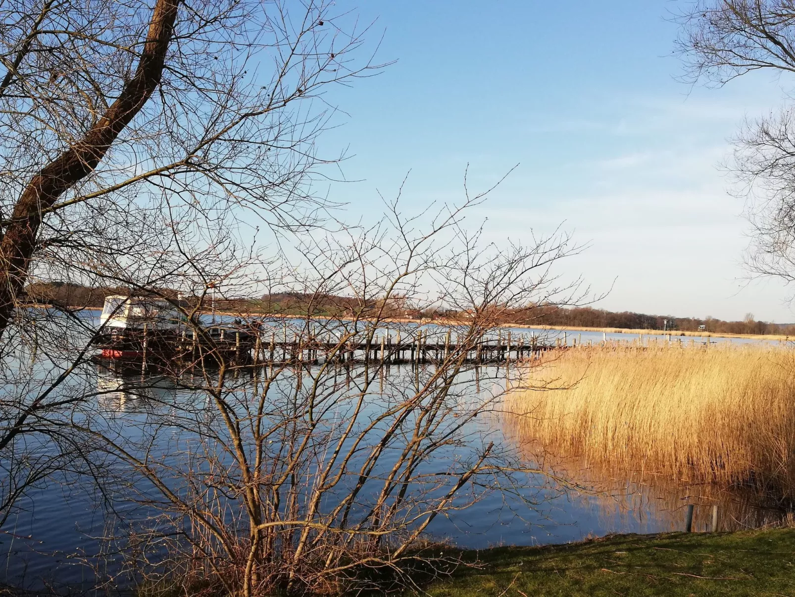 Wohnung mit Balkon in Sellin-Image-tags.info