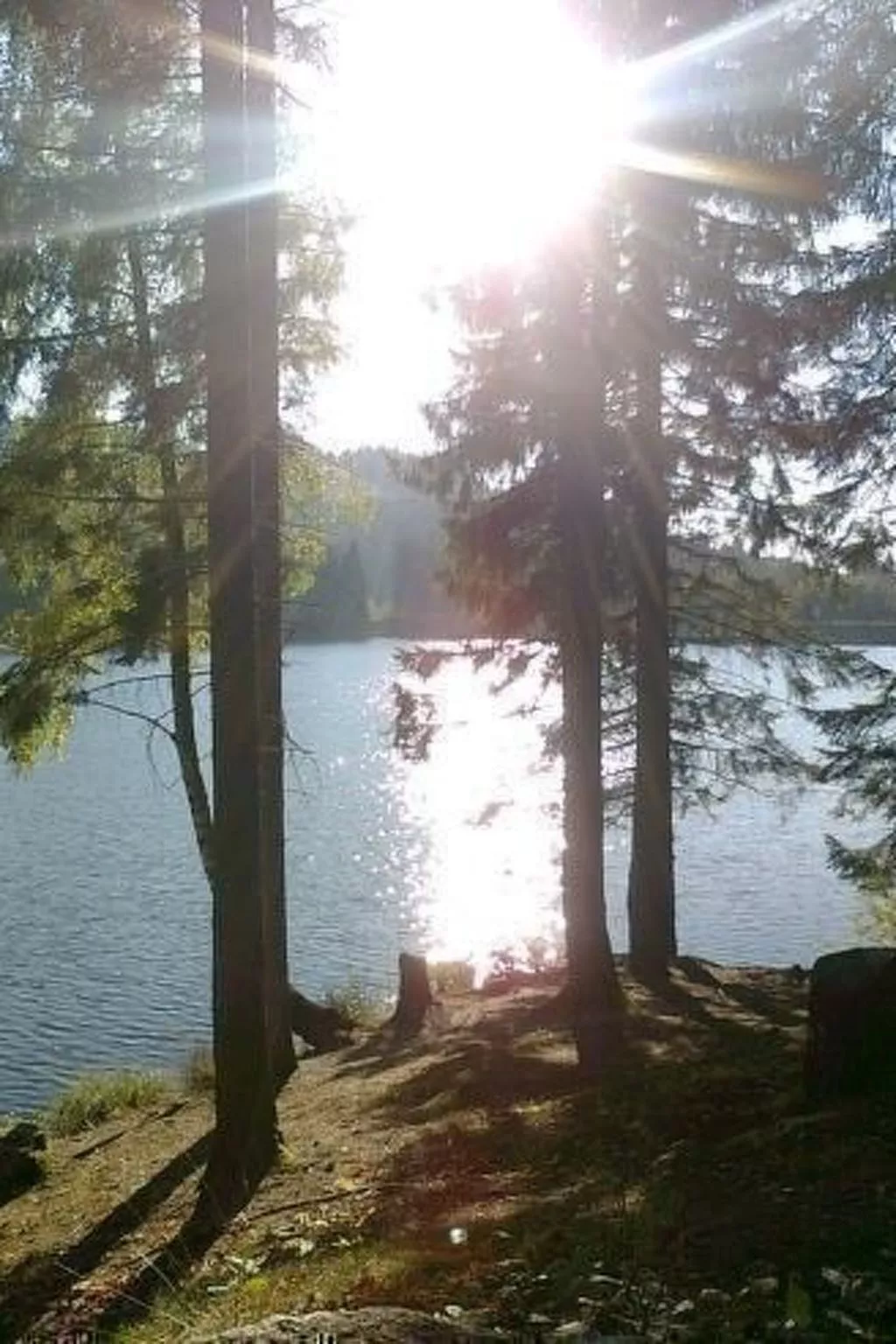 Altes Forsthaus-Draußen