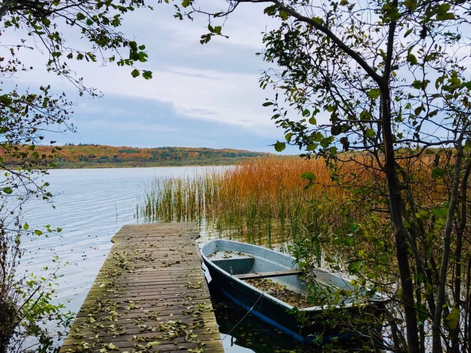 Schönes Ferienhaus in Binz mit Großem Balkon