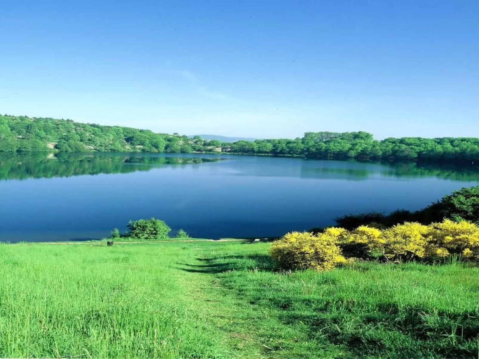 Schöne Ferienwohnung in Daun mit Garten