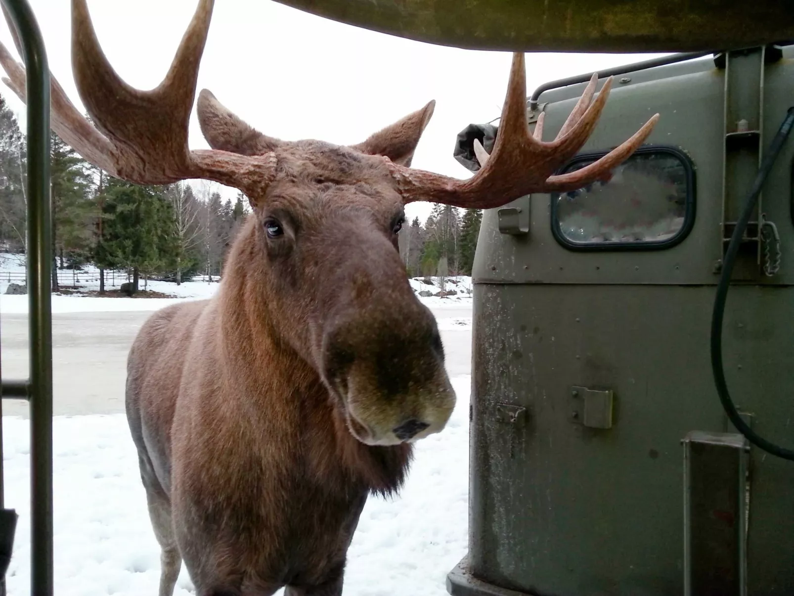 Haus am See Gnötteln-Outside