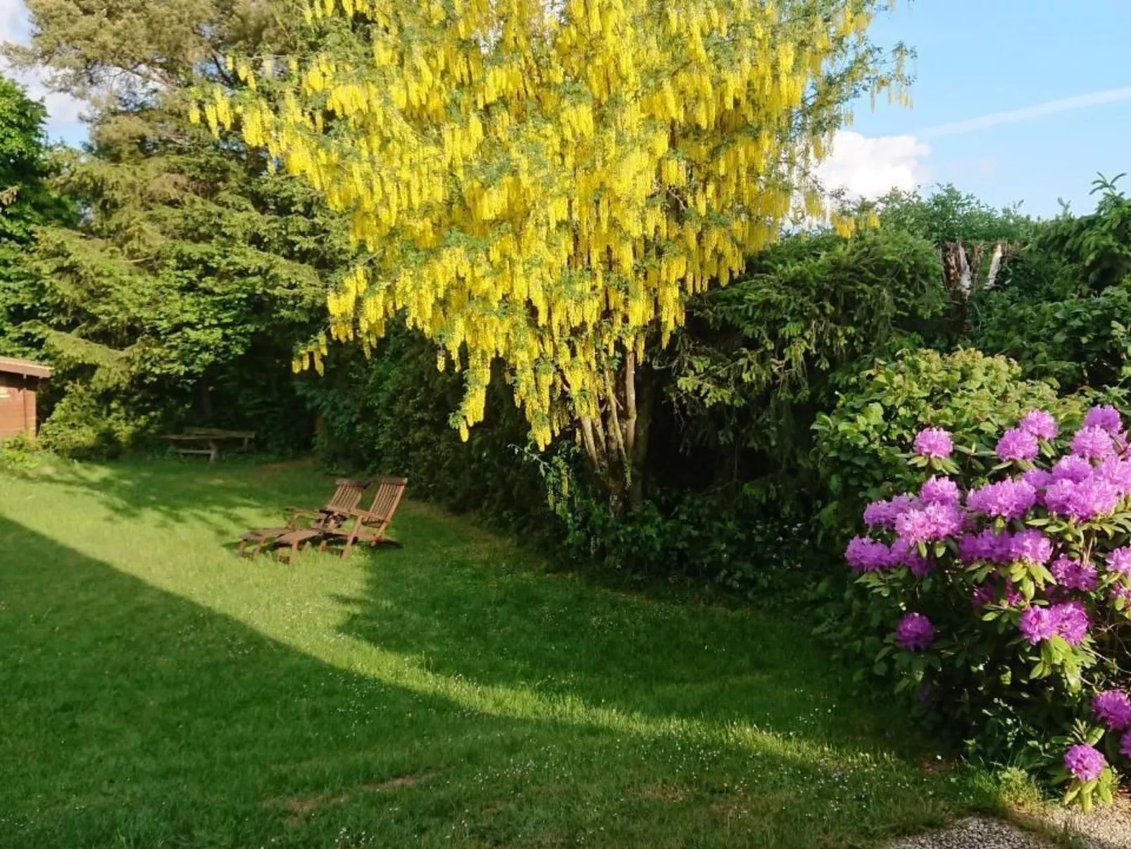 Luxe-Image-tags.info