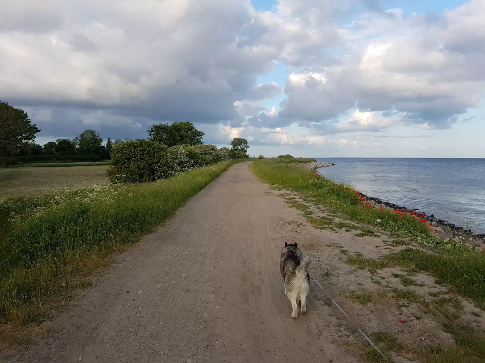 Cala Millor - Outside