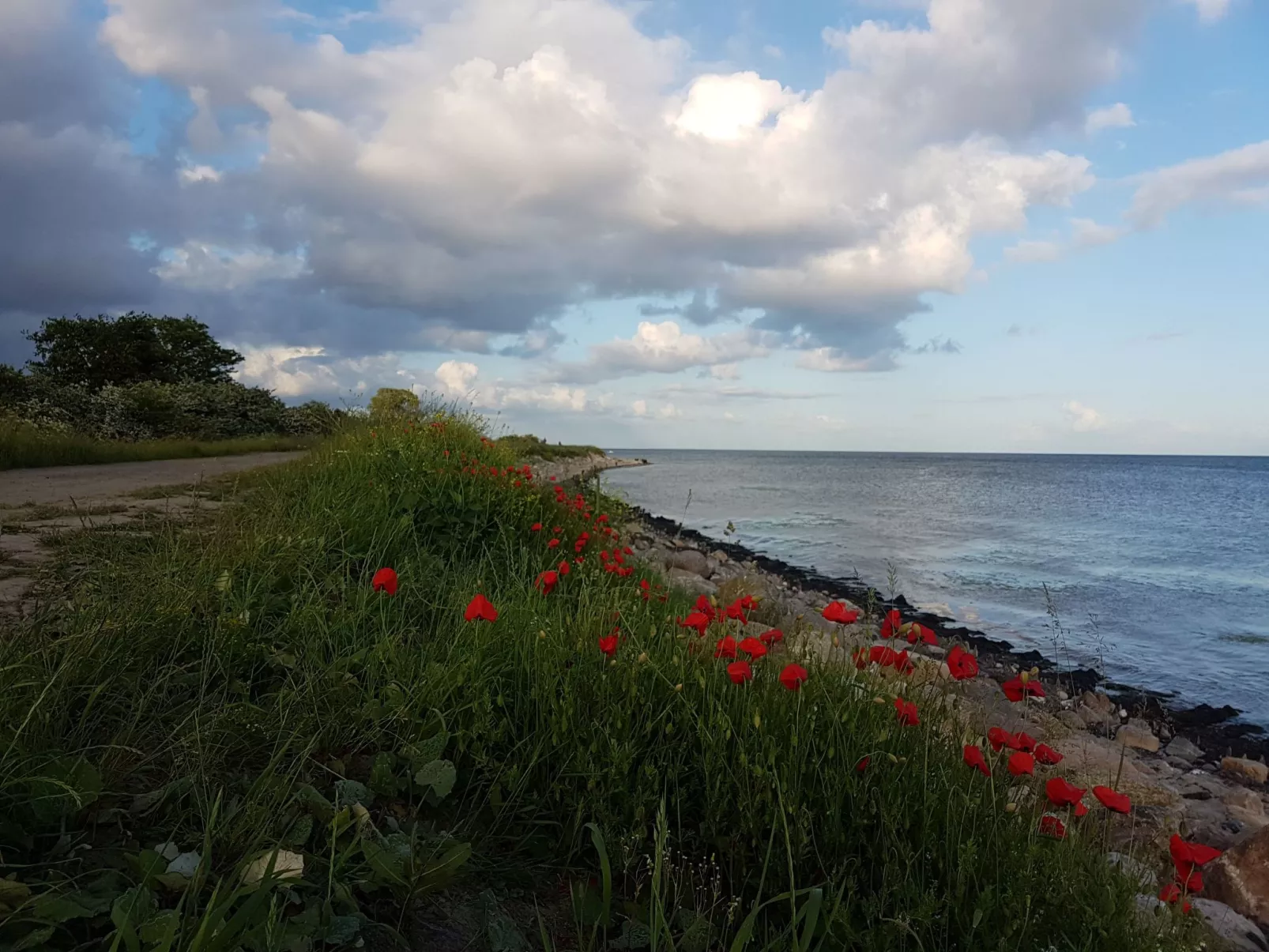 Cap Formentor - Outside