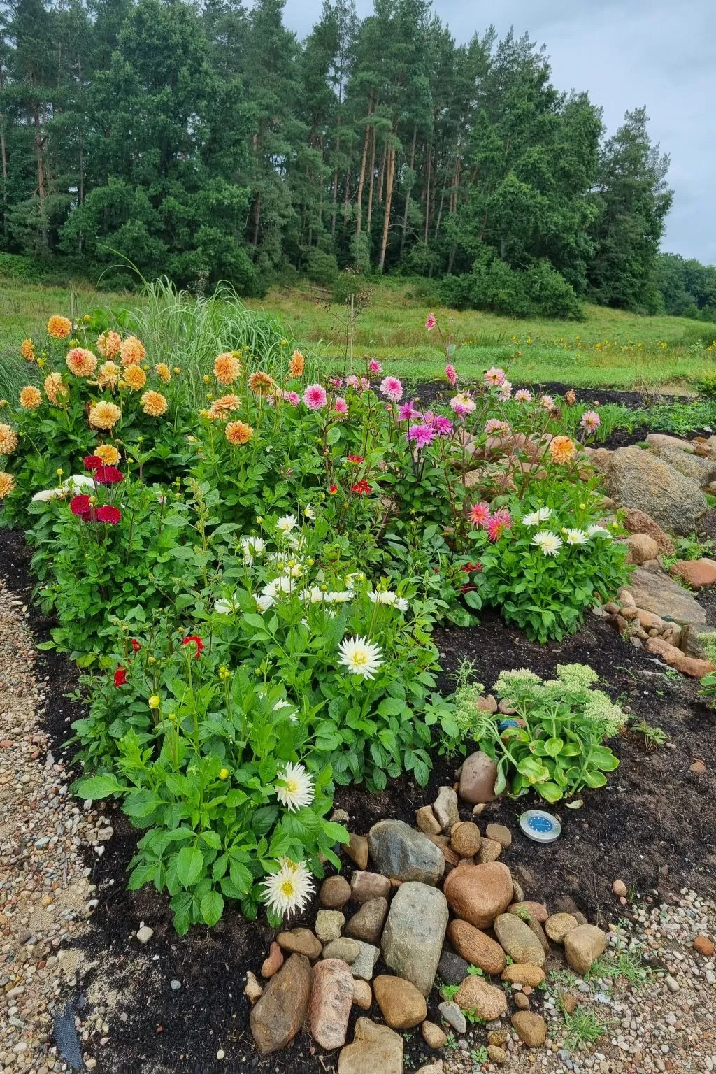 Lublewo21 Ferienhäuser - Draußen