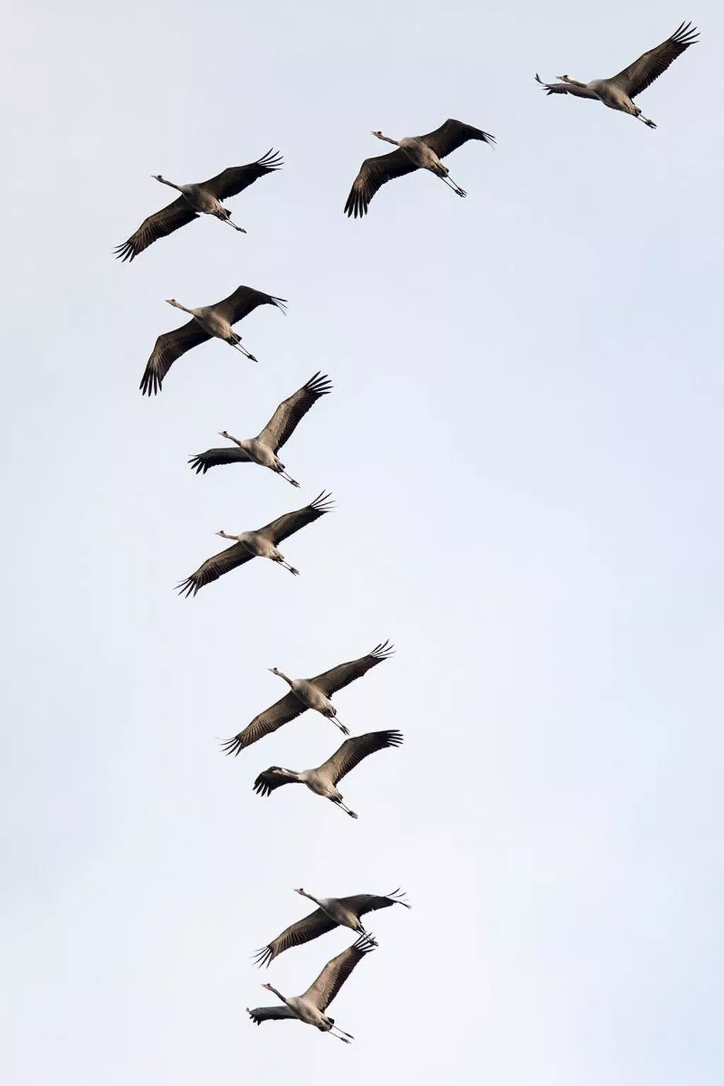 FeWo Star oben-Dehors