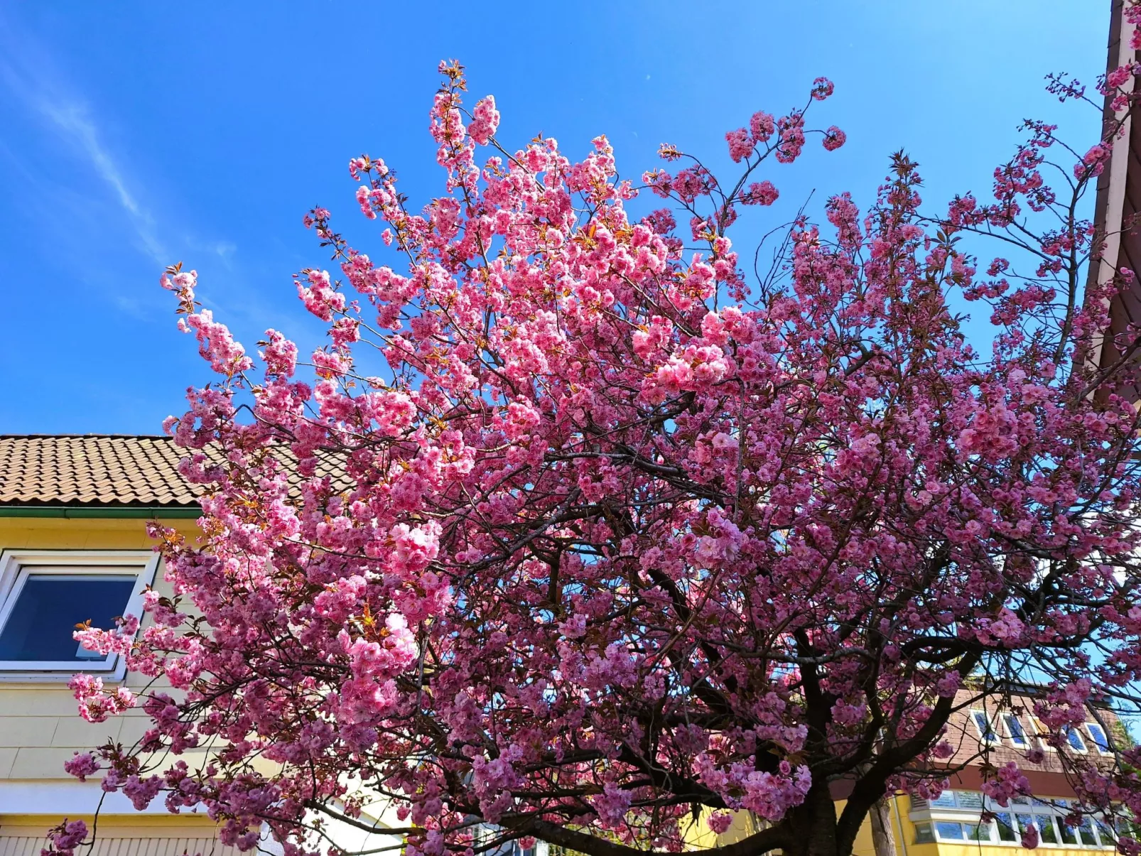 Kleine Auszeit-Dehors