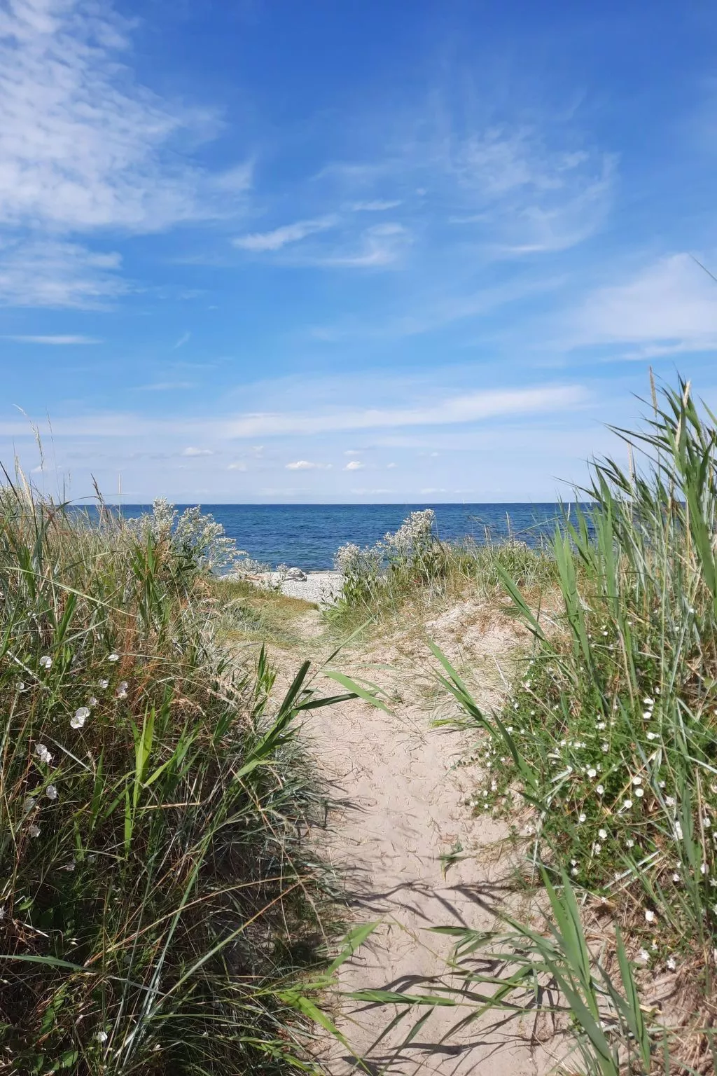  in Dänschendorf auf Fehmarn