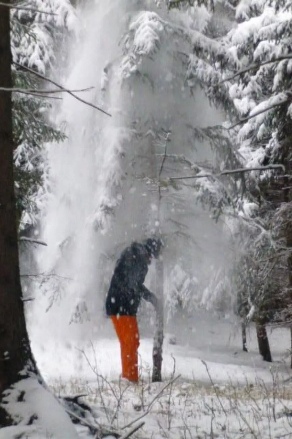 Almhütte Helmut Dischgerbrent in Sankt Margarethen-Outside