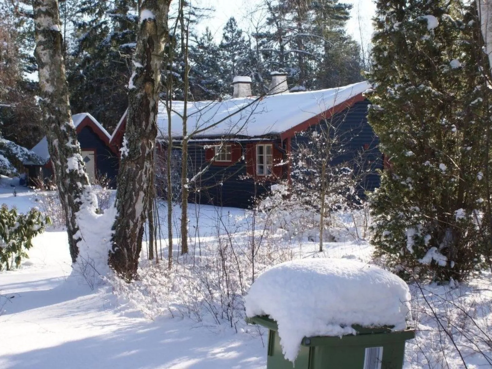 Schönes Ferienhaus mit Garten, Terrasse und Grill-Outside