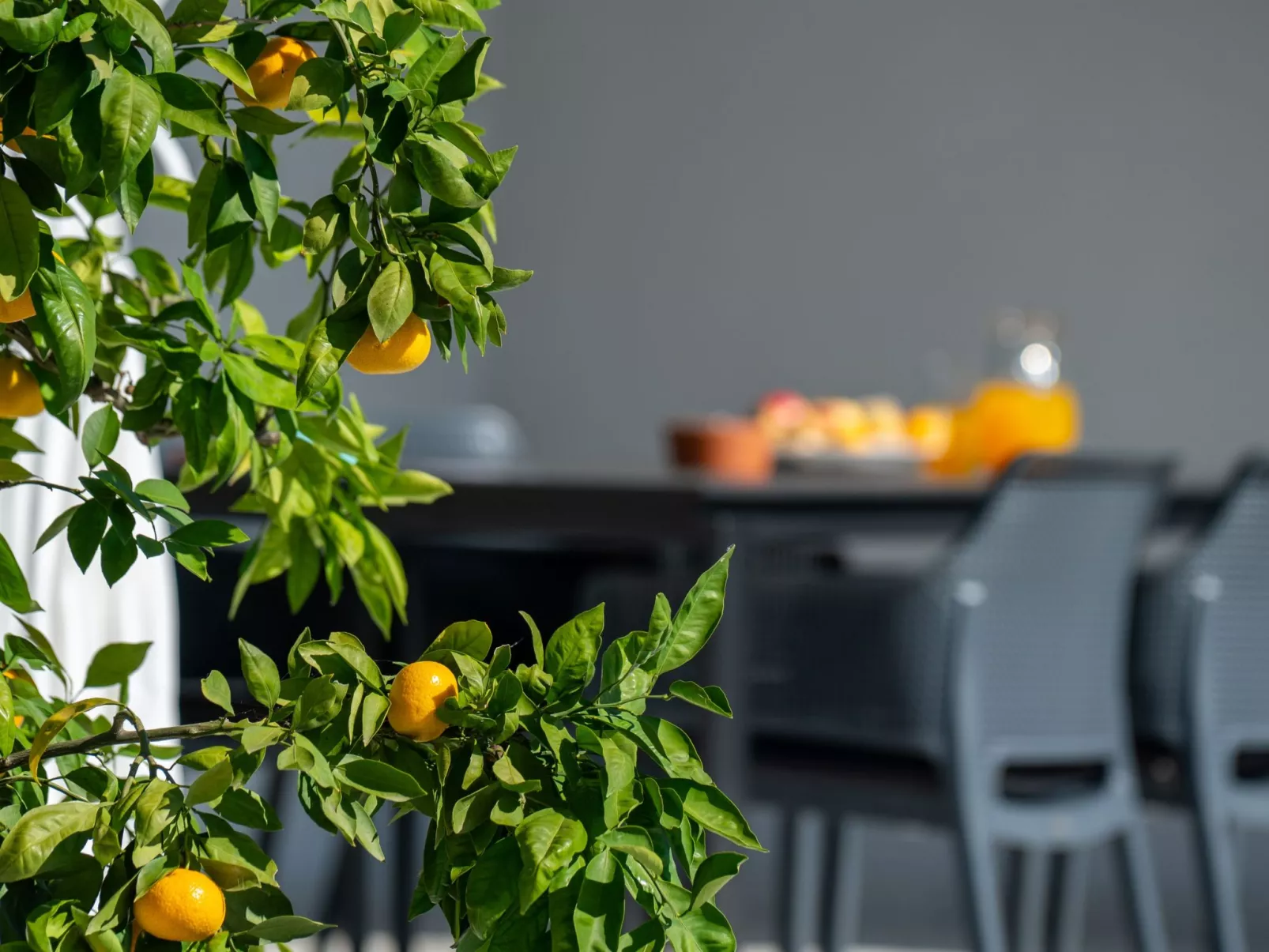 Moderne Villa bei Barban