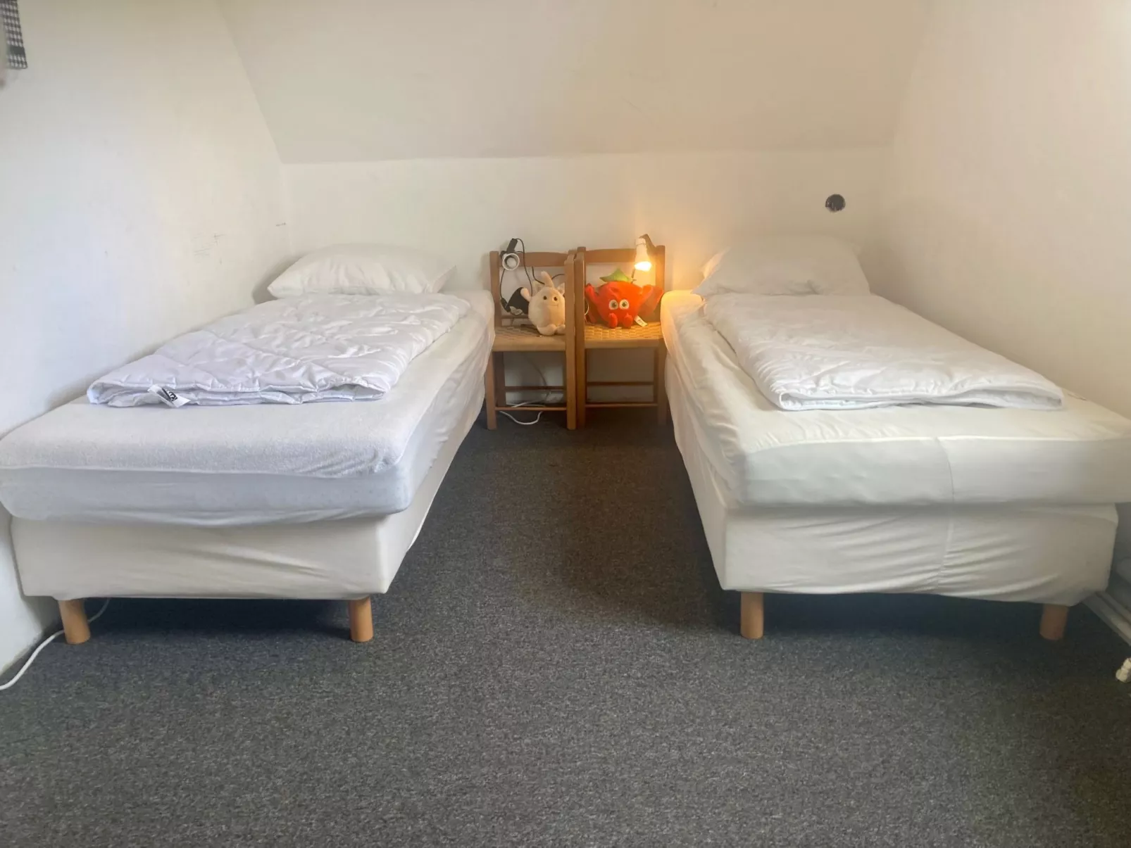 120 Dijkrose-Drinnen