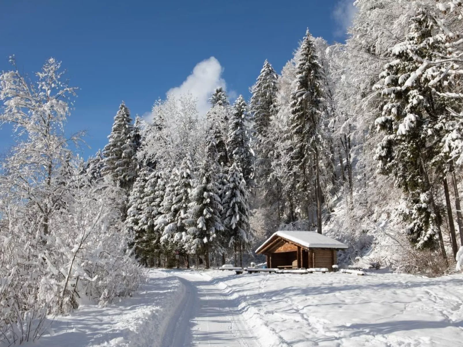 Gehrihornblick-Dehors