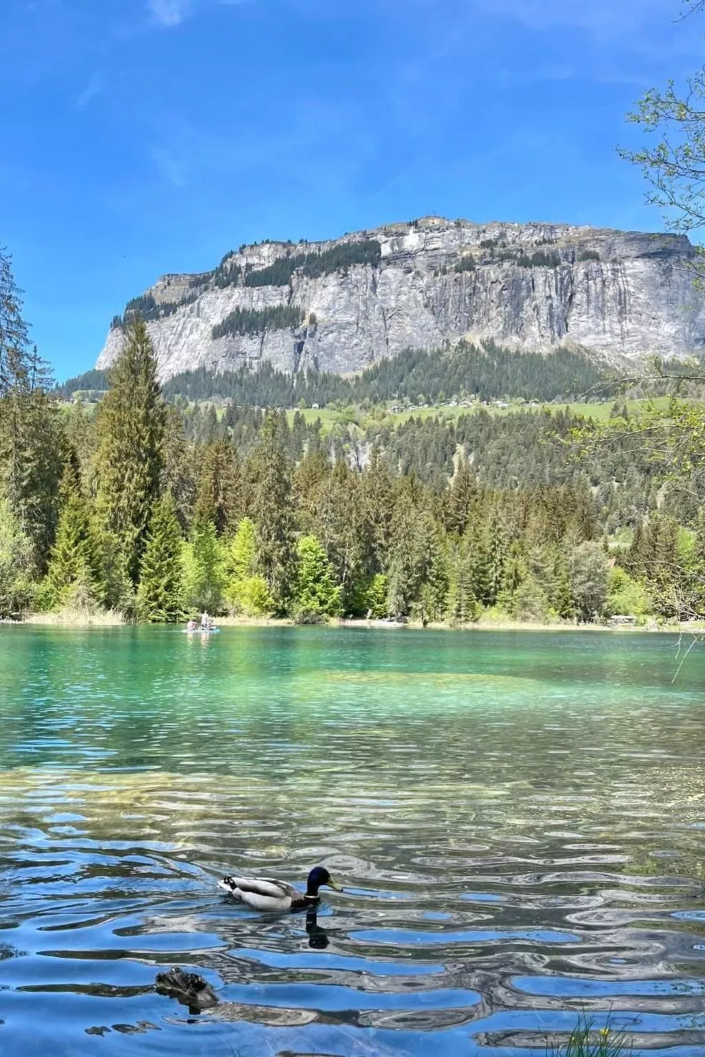Flims Stenna SELVA direkt bei Bergbahnen Skipiste