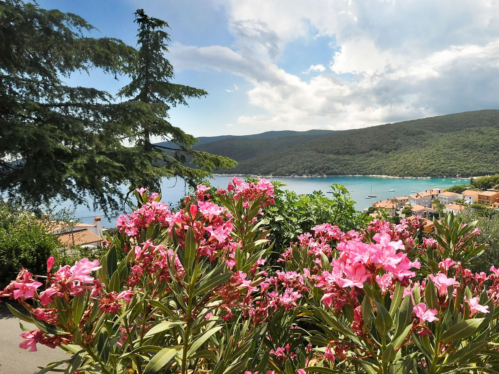 Hübsche Wohnung mit teilweisem Meerblick, für 4 Personen