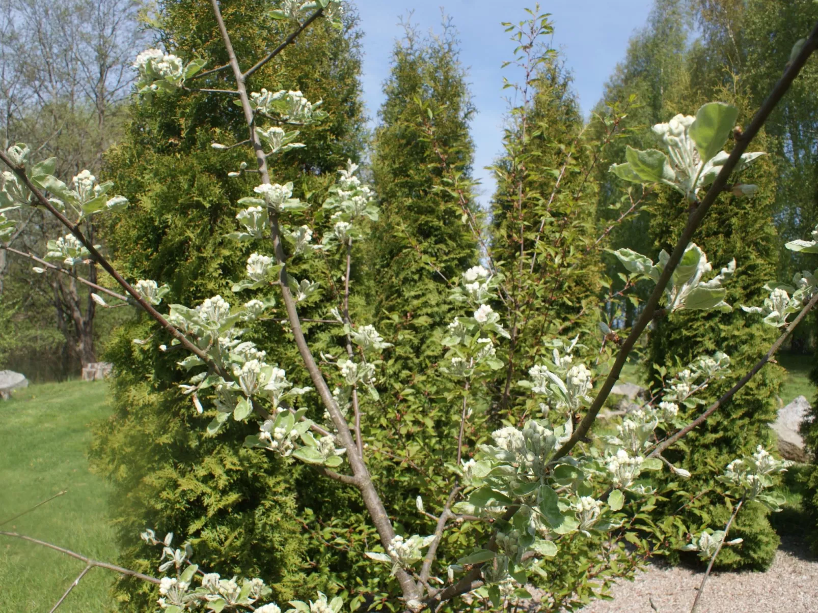 Meer, Landschaft, Stille - Ferienhäuser in den Gärten von Magra-Draußen