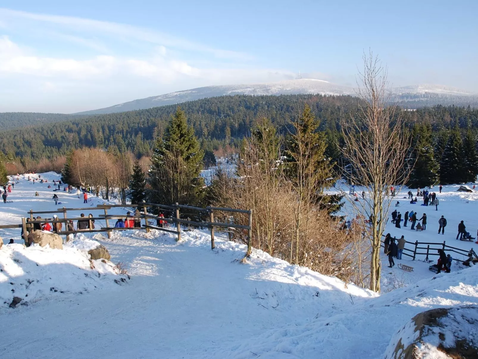 Wohnung in Bad Harzburg mit Garten-Outside