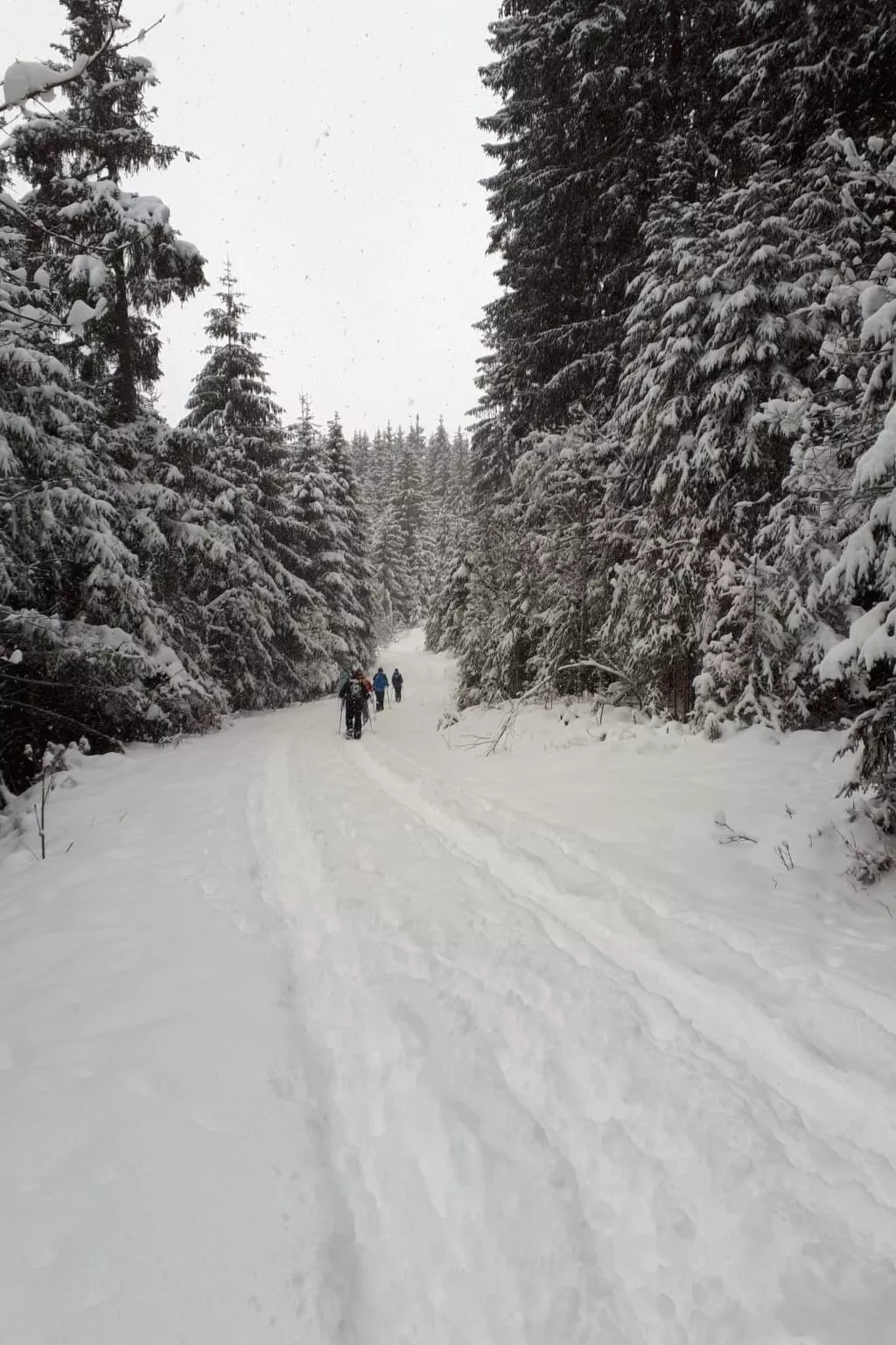 Fewo Harzblick-Outside