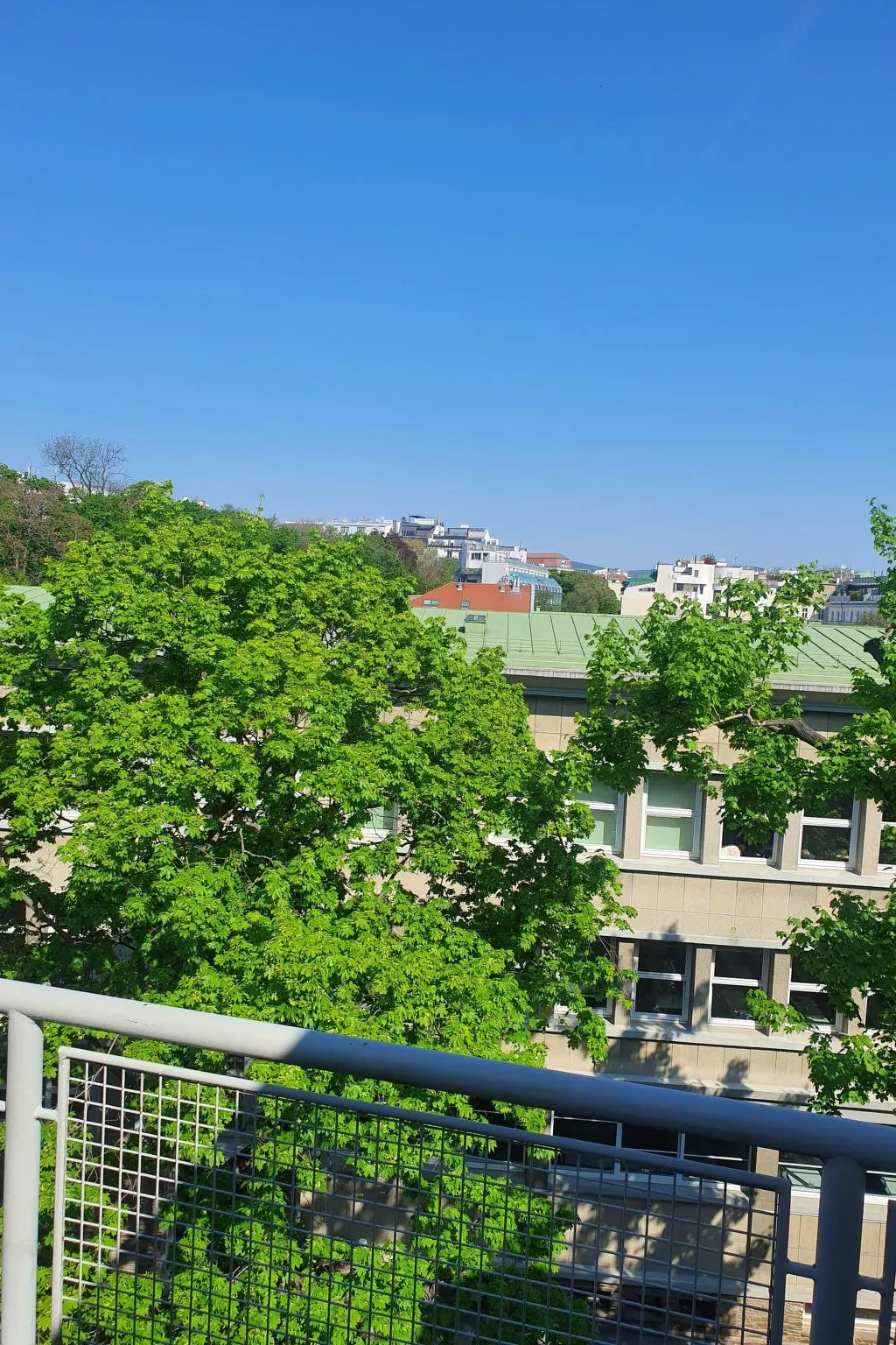 Klimatisiertes 3 Zimmer Appartement  mit Terrasse-Outside