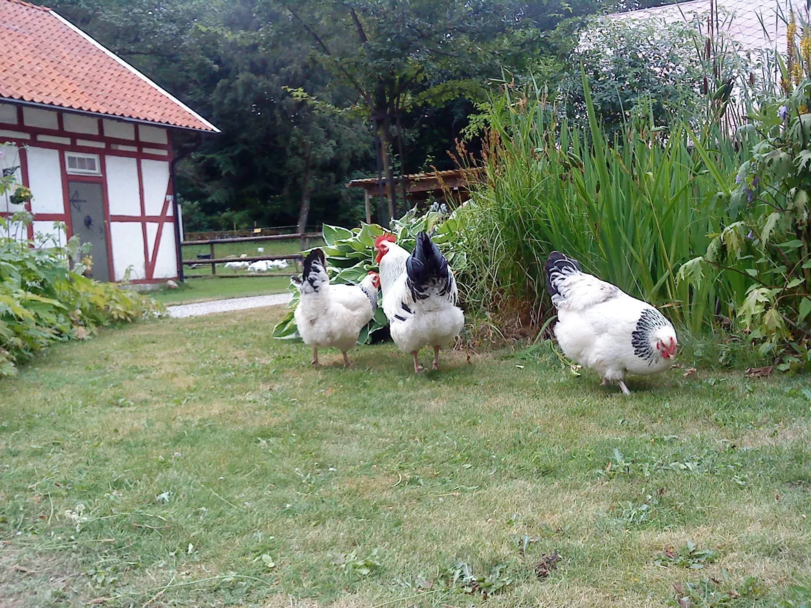 Mit Balkon, Terrasse und Garten