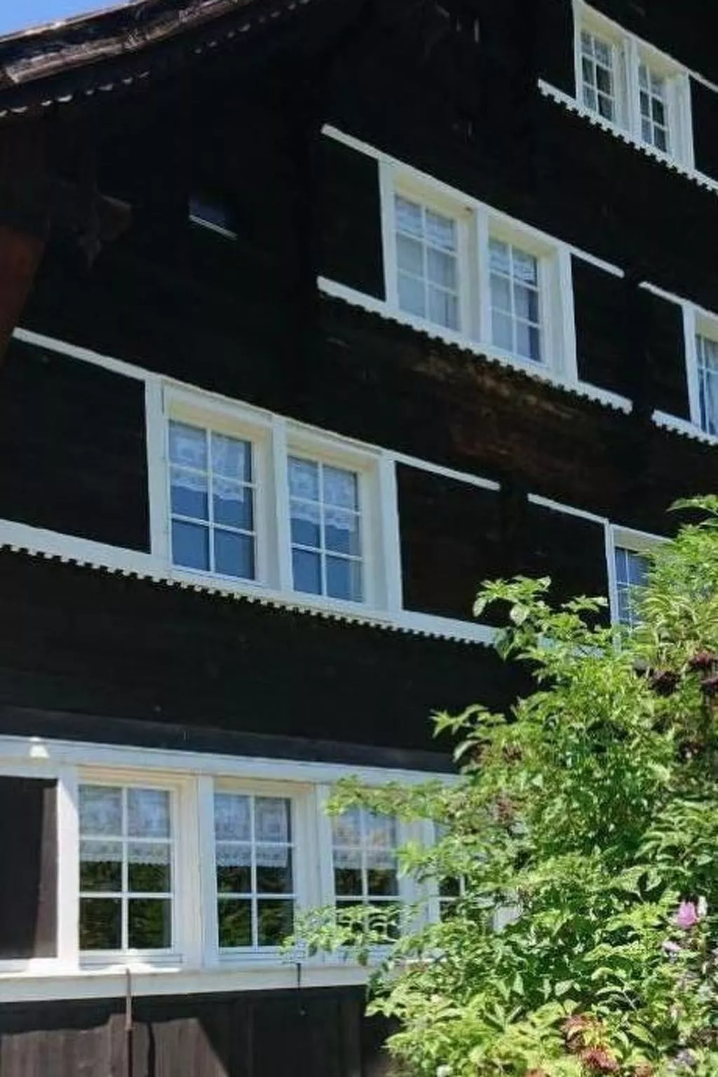 Ferien in der Vogelherd