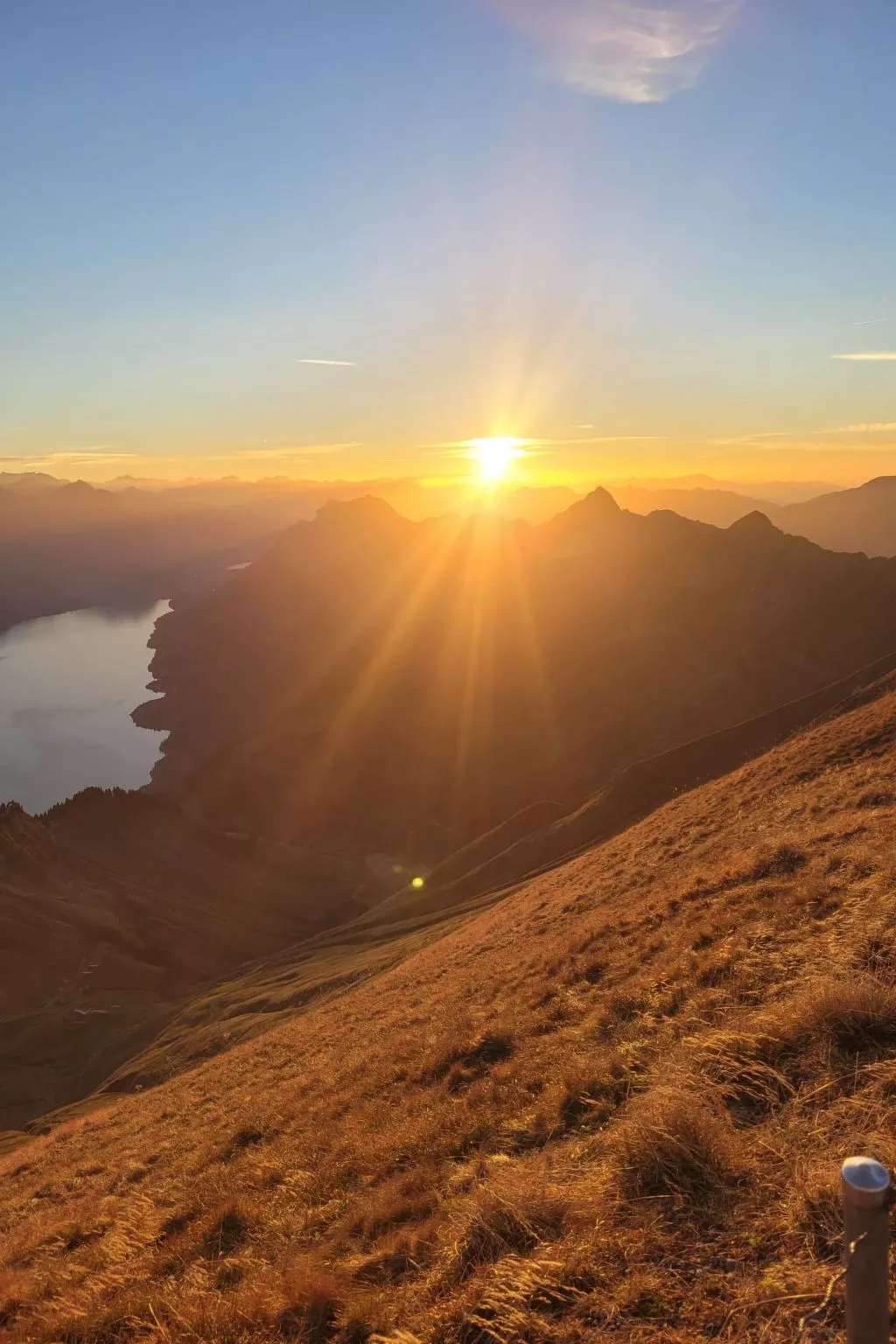 Kolibri Parterre-Outside