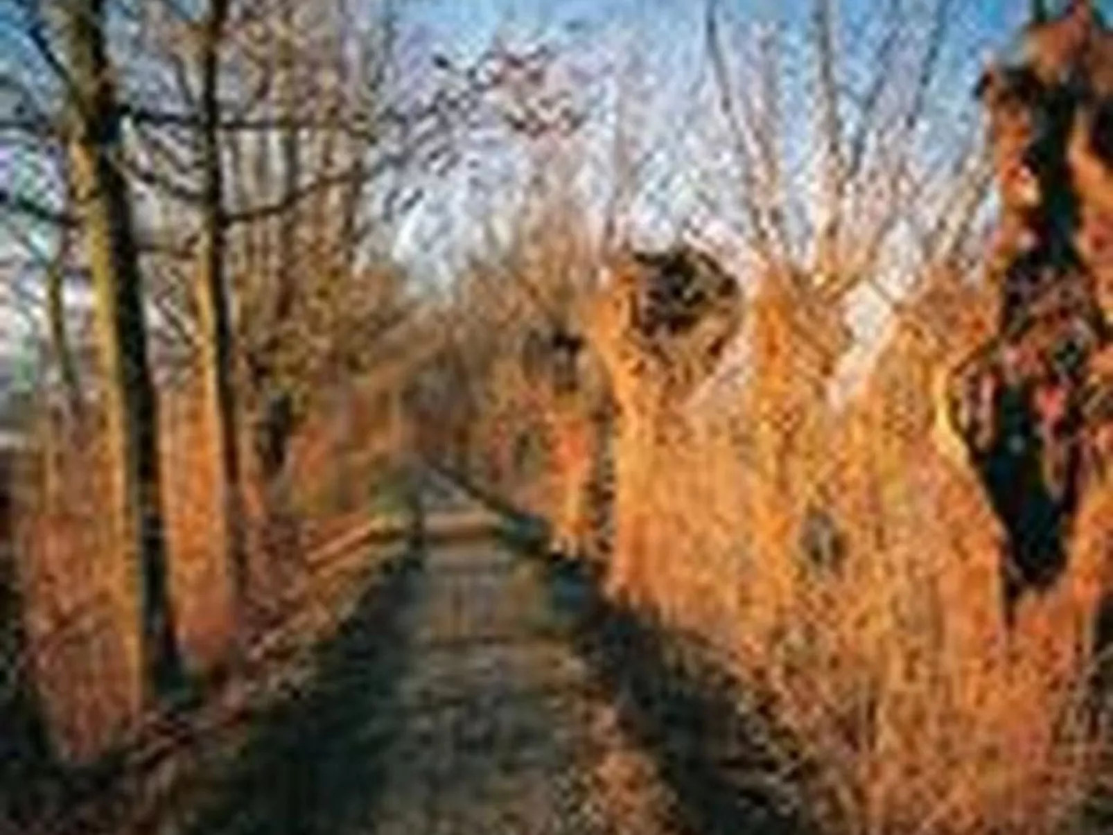 Rosentürmli - Outside