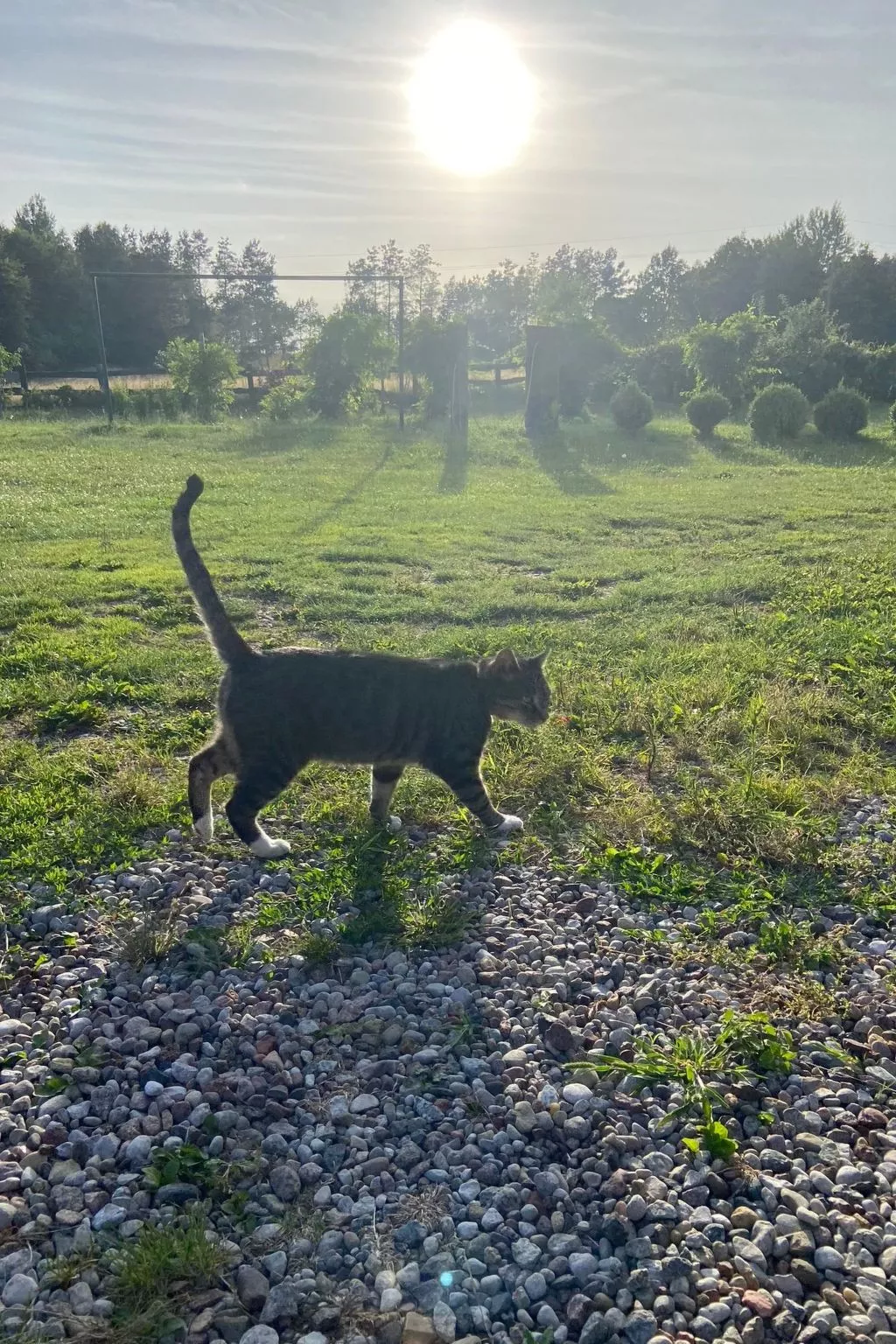 Alte Dorfschule-Draußen
