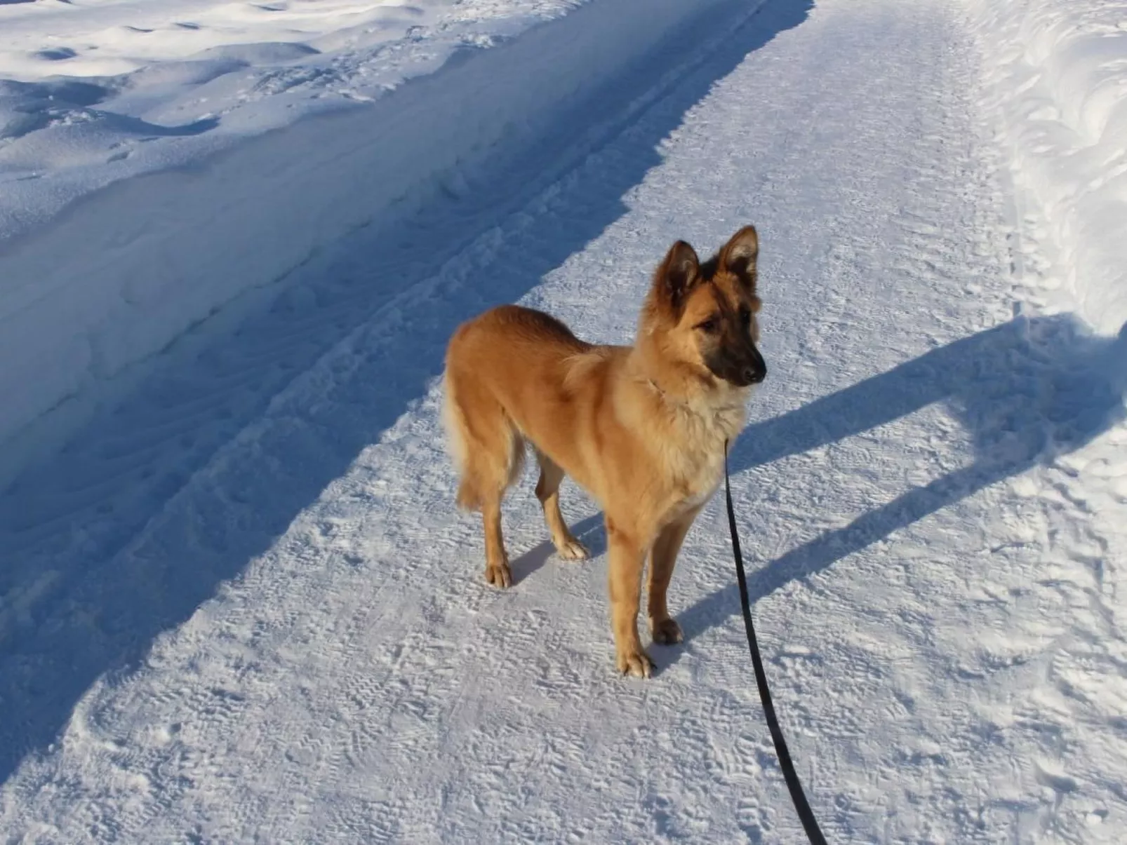 Alpkönigin - Outside