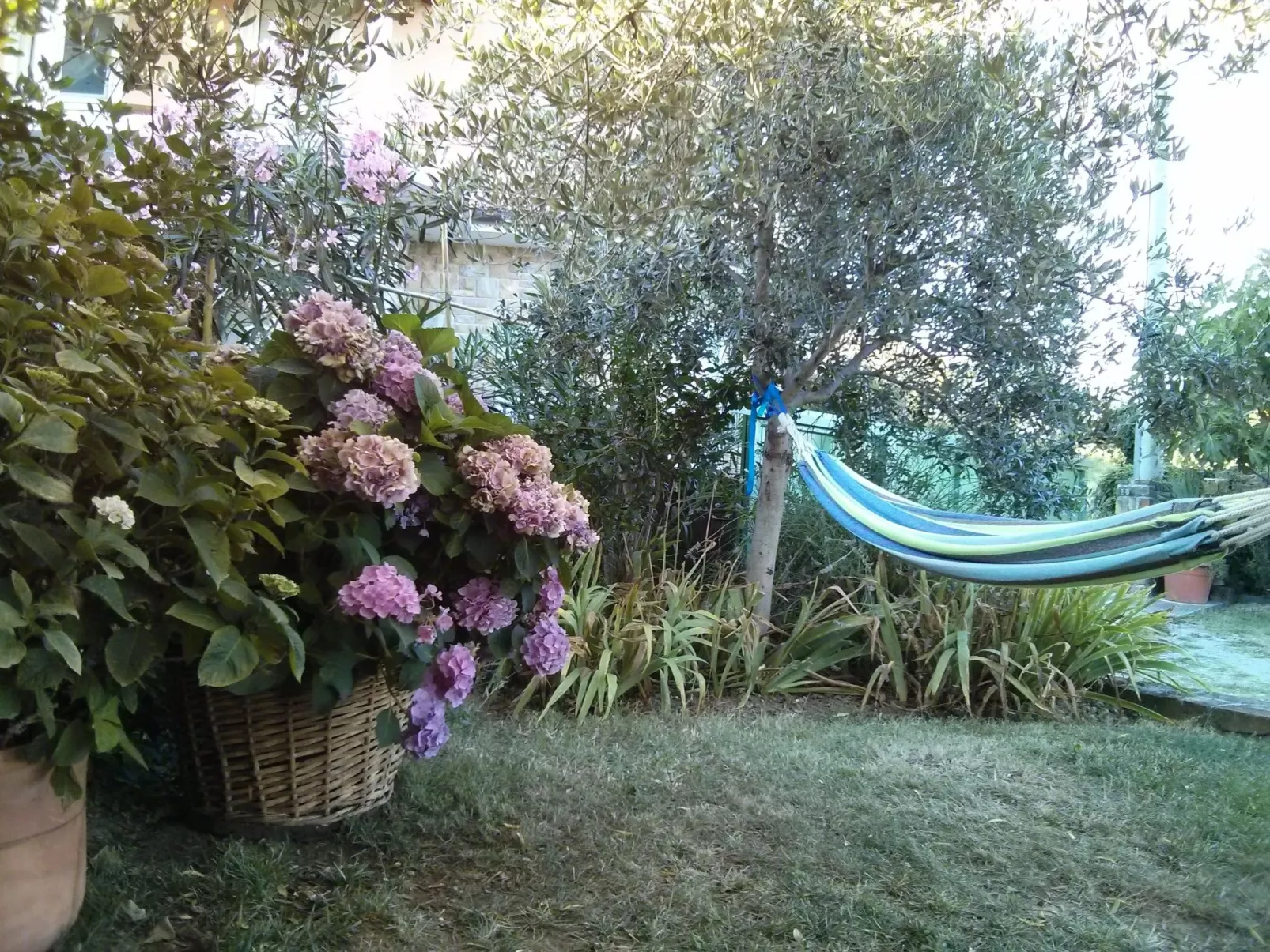 Istrisches Steinhaus-Draußen