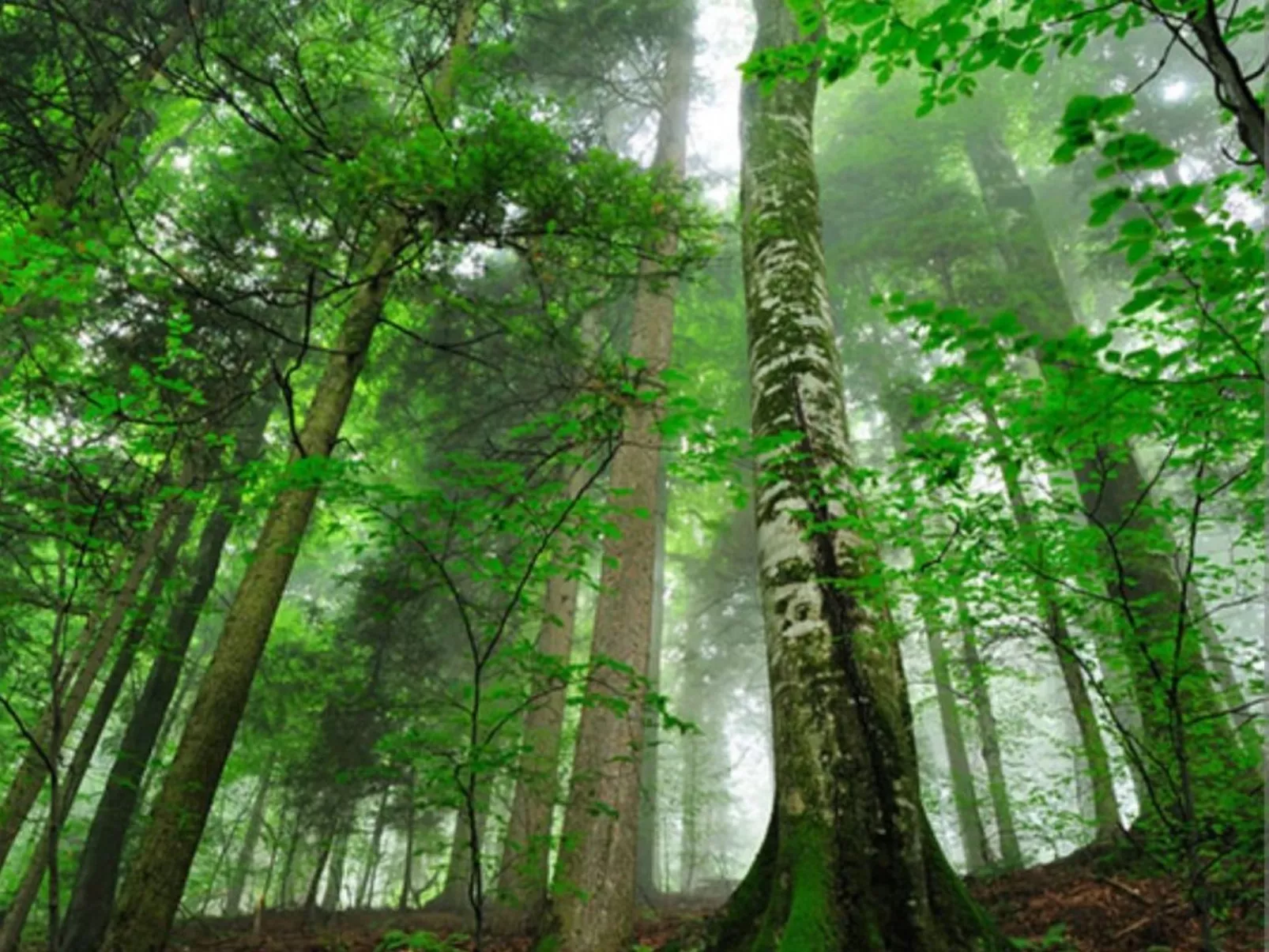 Kupres apartman-Draußen