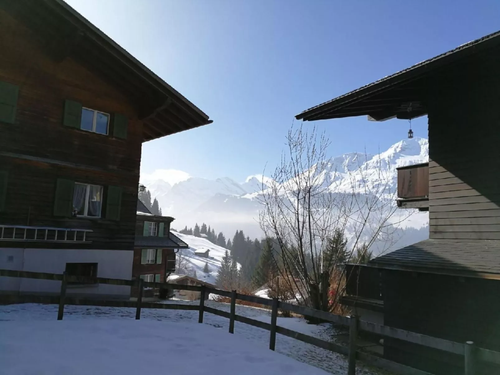 Chalet Sandra in Wengen