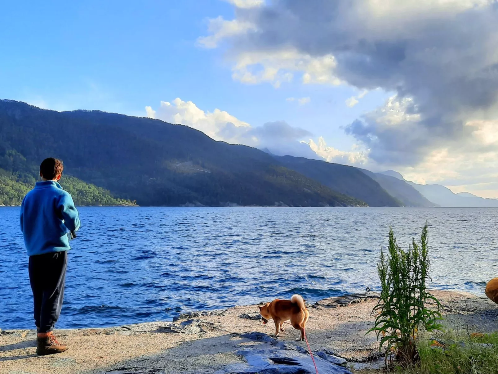 Häuschen mit Blick auf das Wasser
