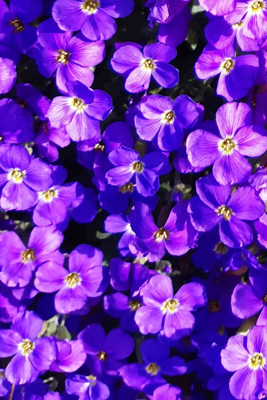 Finca "Motje" mit Aussicht-Draußen