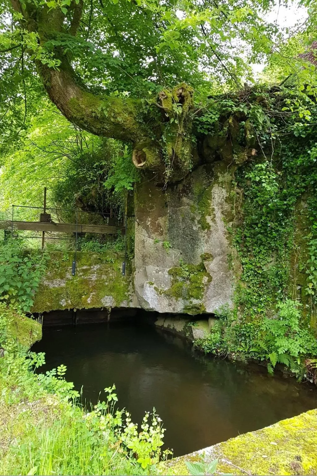 LE HAVRE SAUVAGE-Dehors