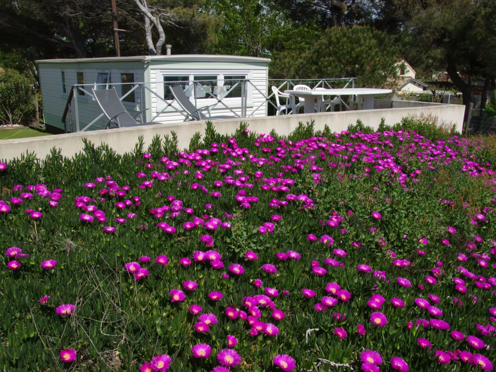 Mobiles Haus mit Blick auf das Wasser