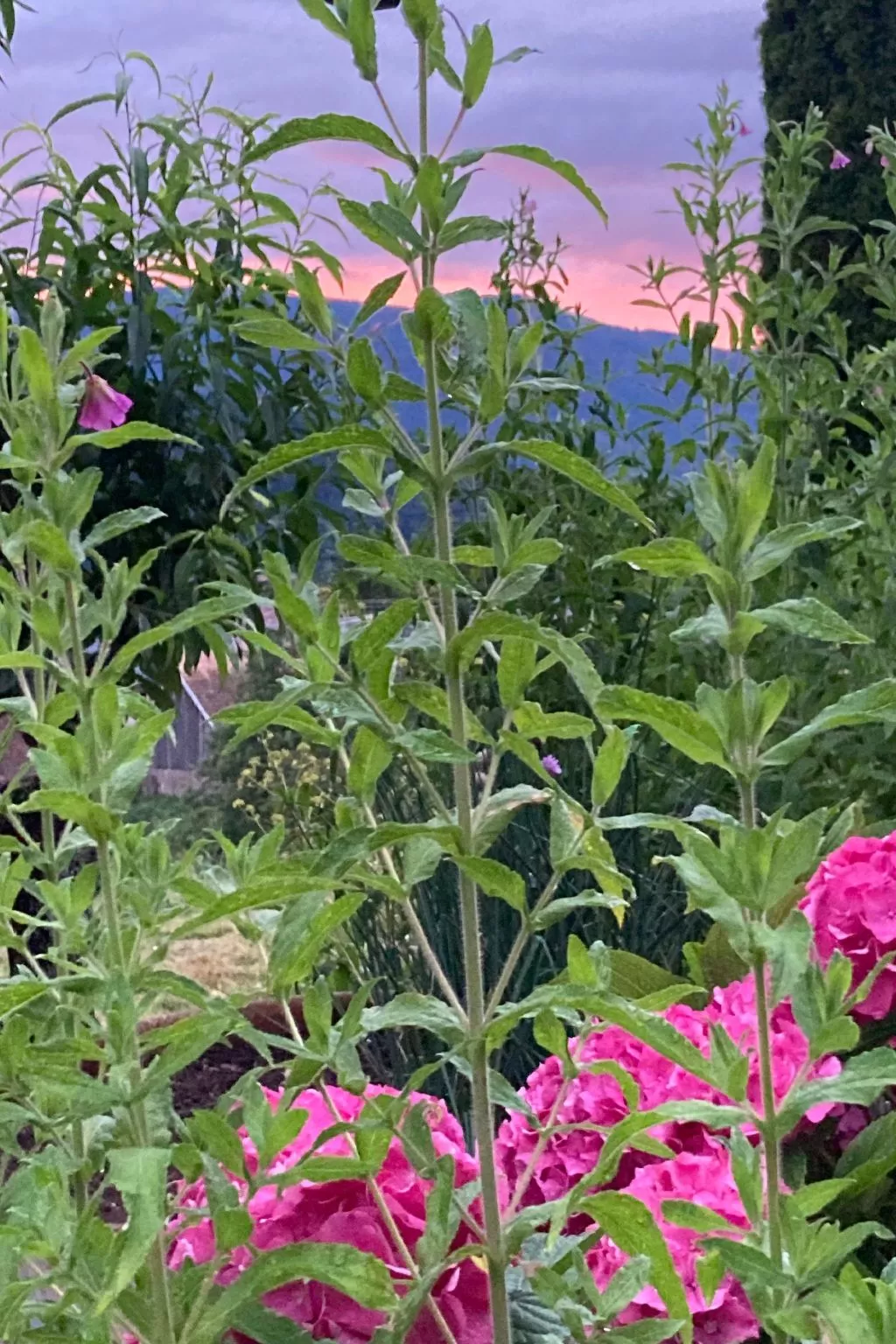 Gite des Cerisiers-Outside