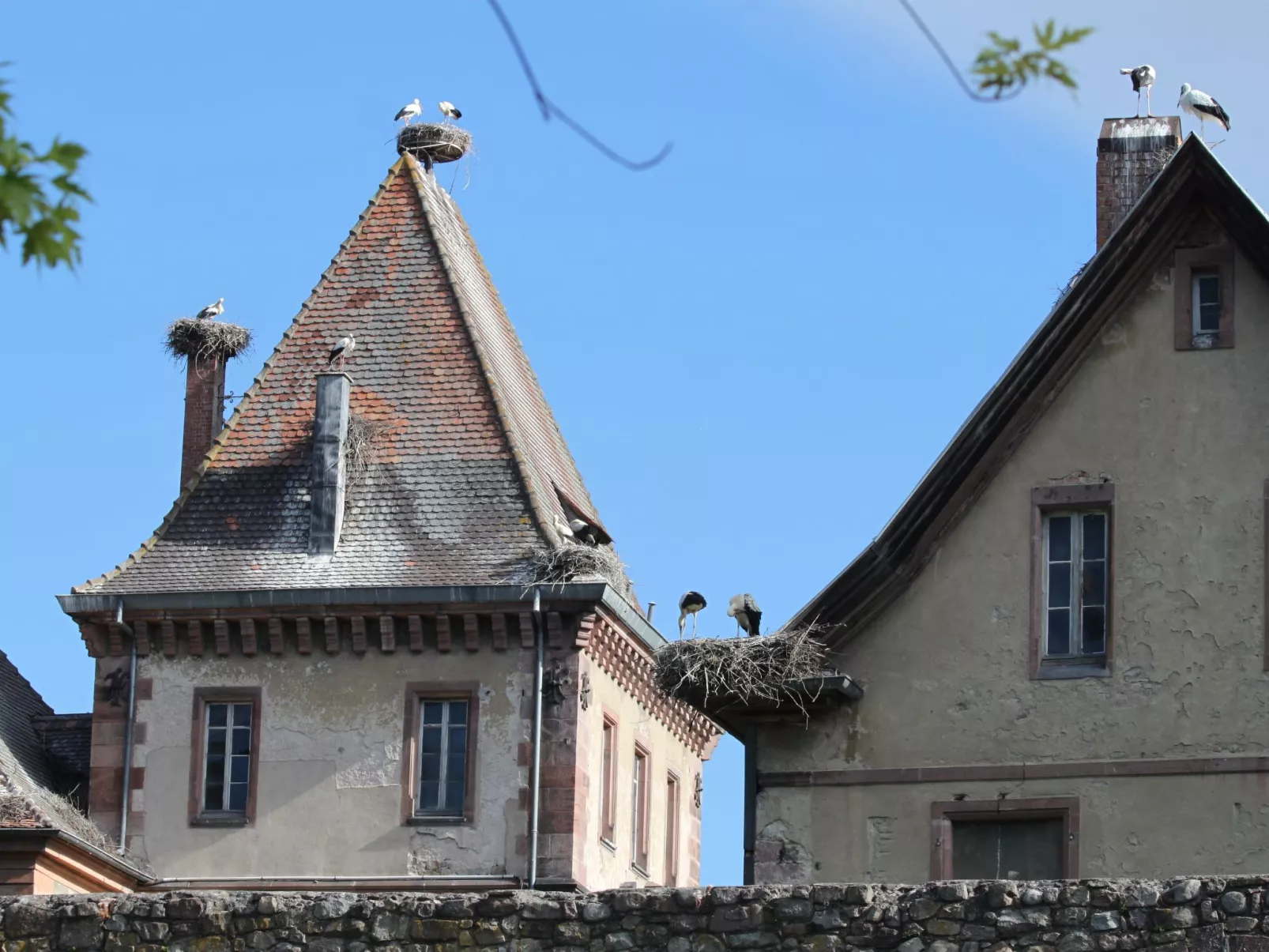 Zwischen Elsass und Vogesen, gite in einem schönen Chalet.-Draußen