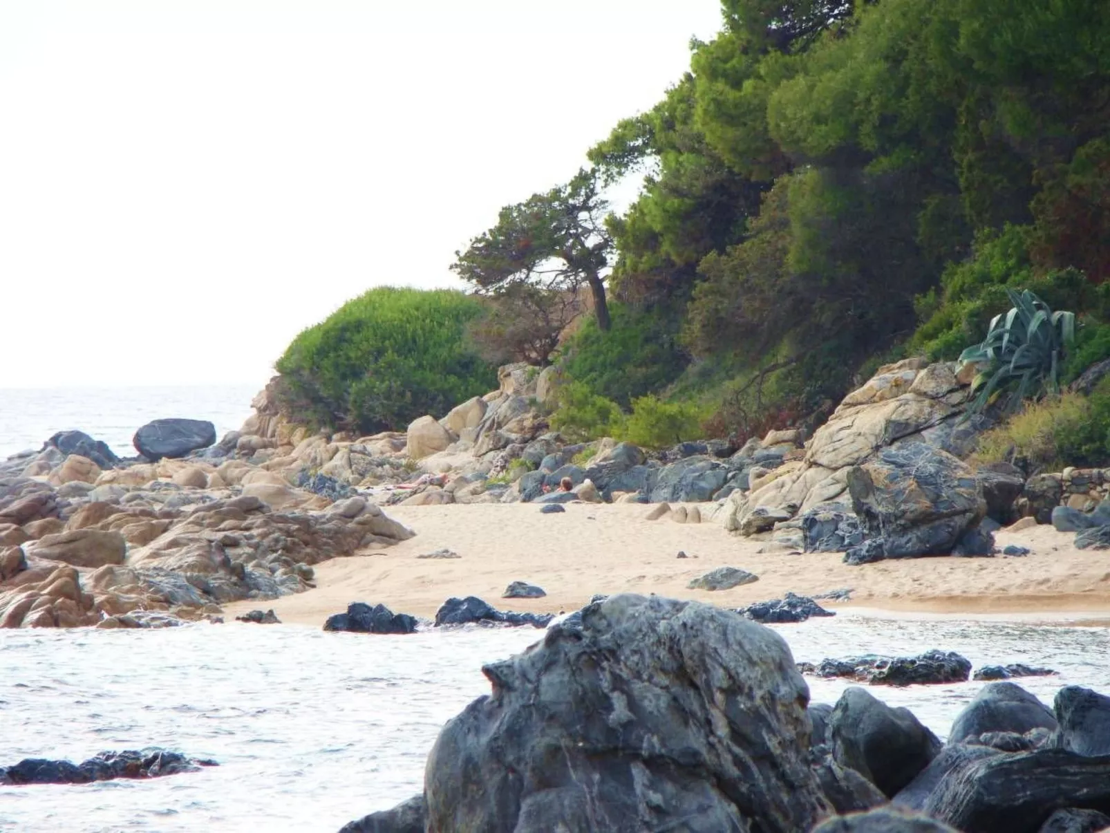 Villa des Plages-Valinco 2Zi Super Meerblick 250m-Outside