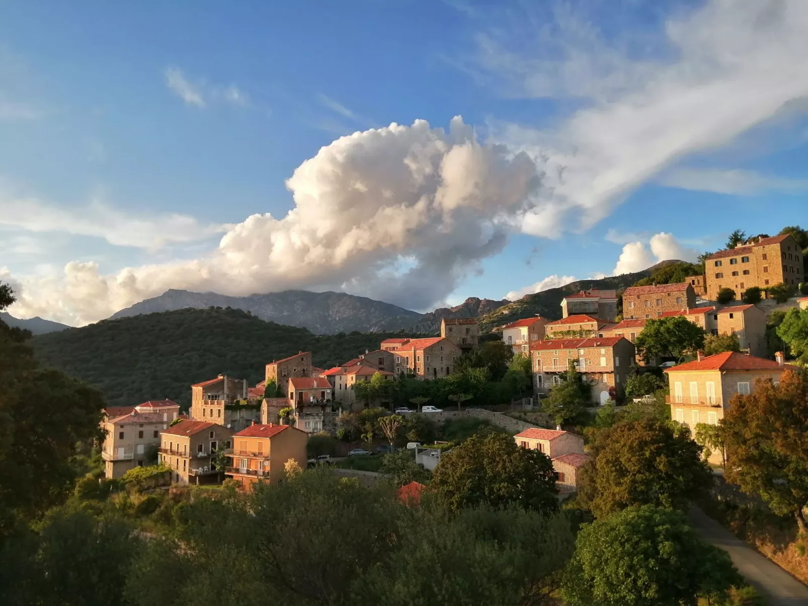 Corse du Sud 10mn von den Stränden entfernt - Olmeto App 4P-Draußen