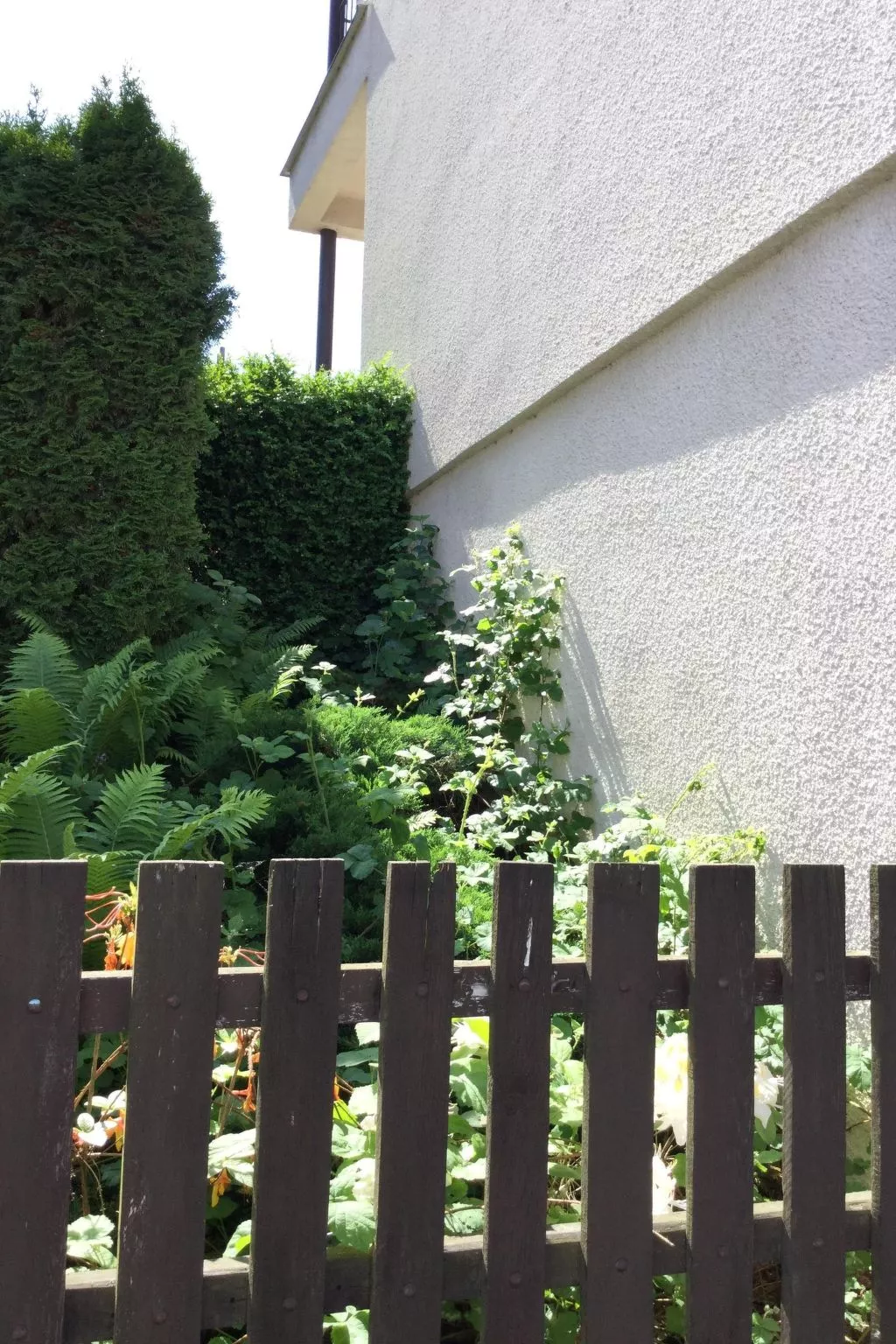 Wohnung Lydiavi-Outside