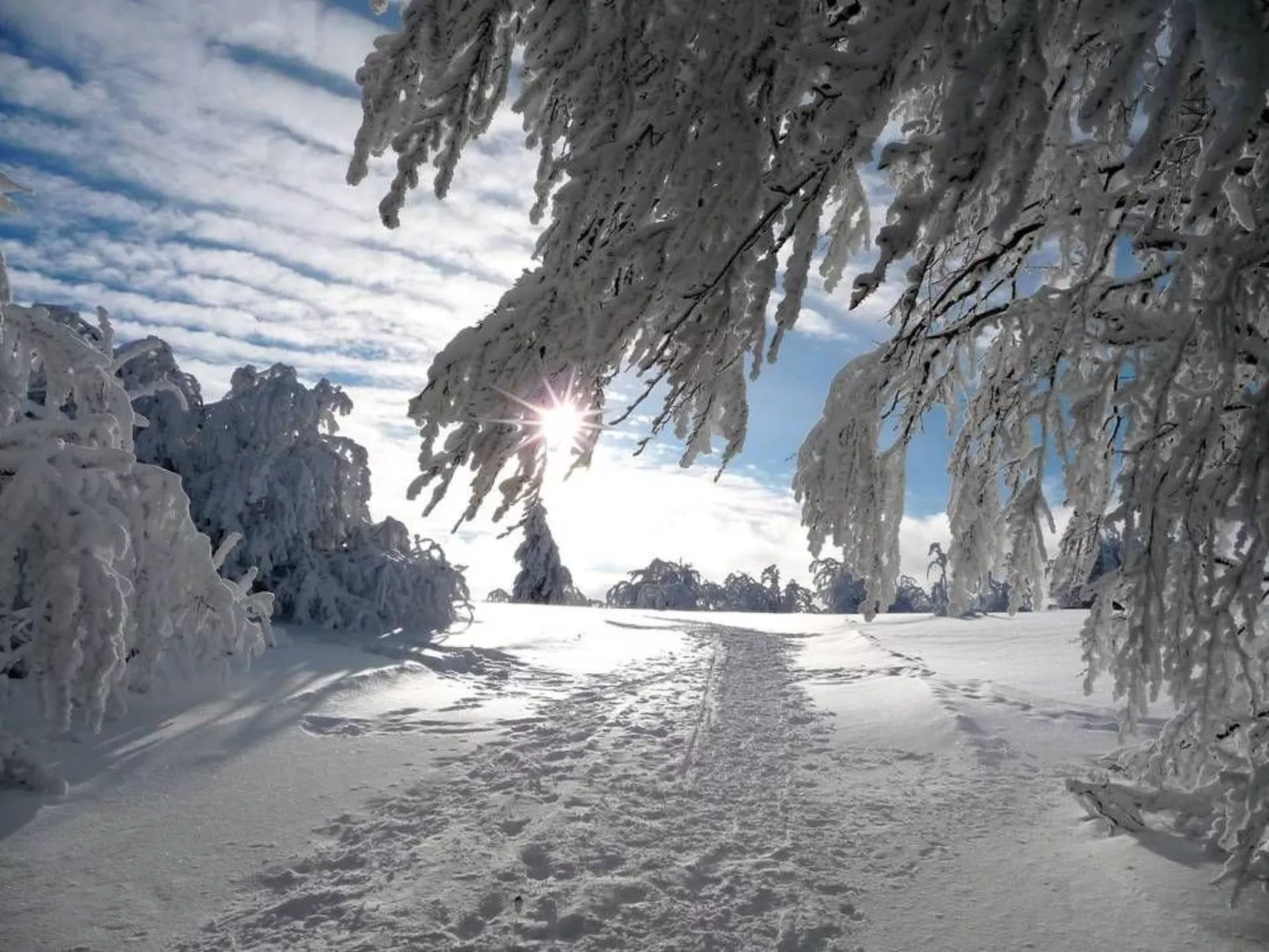 Domäne "Leons Garage"-Draußen