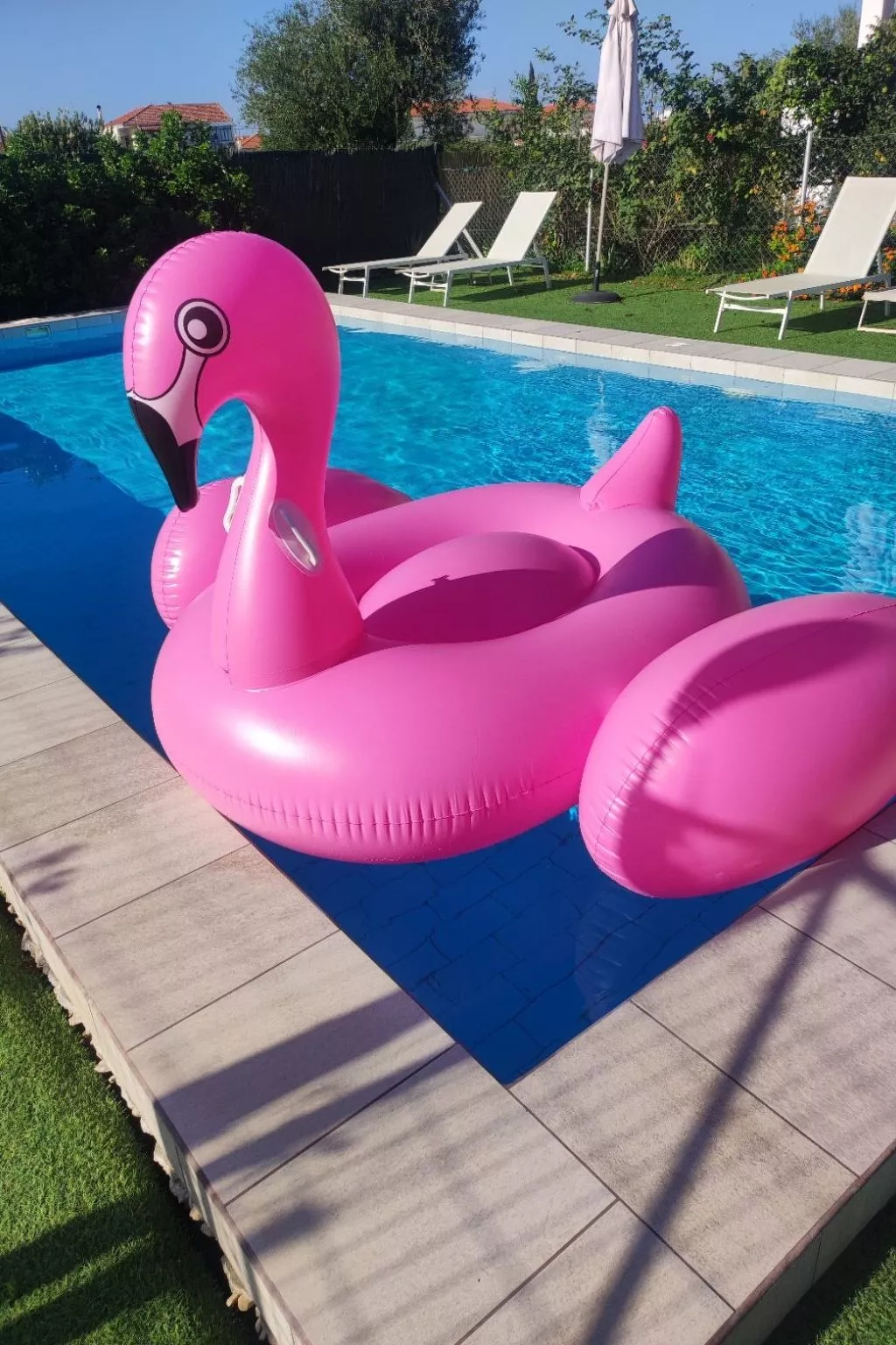 Neben Orangenbaum-Obstgarten