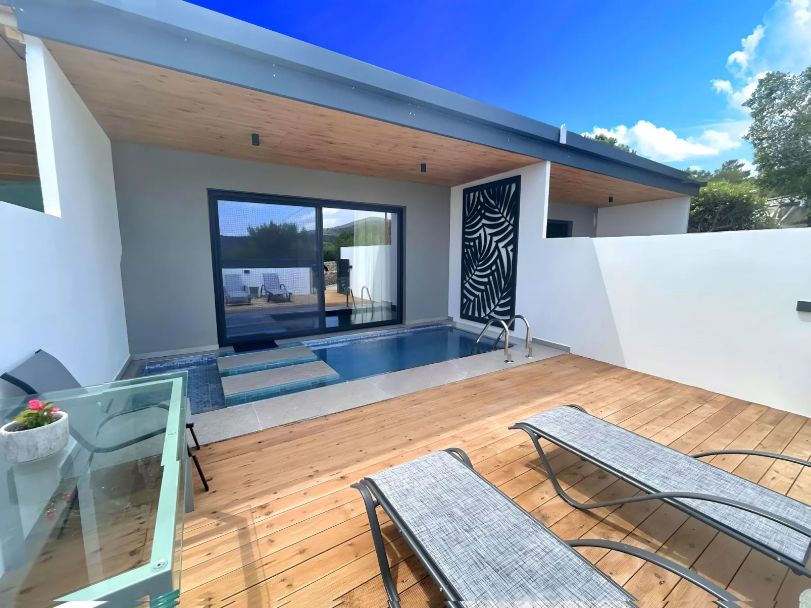 Canes Maxima Suite Privater Pool