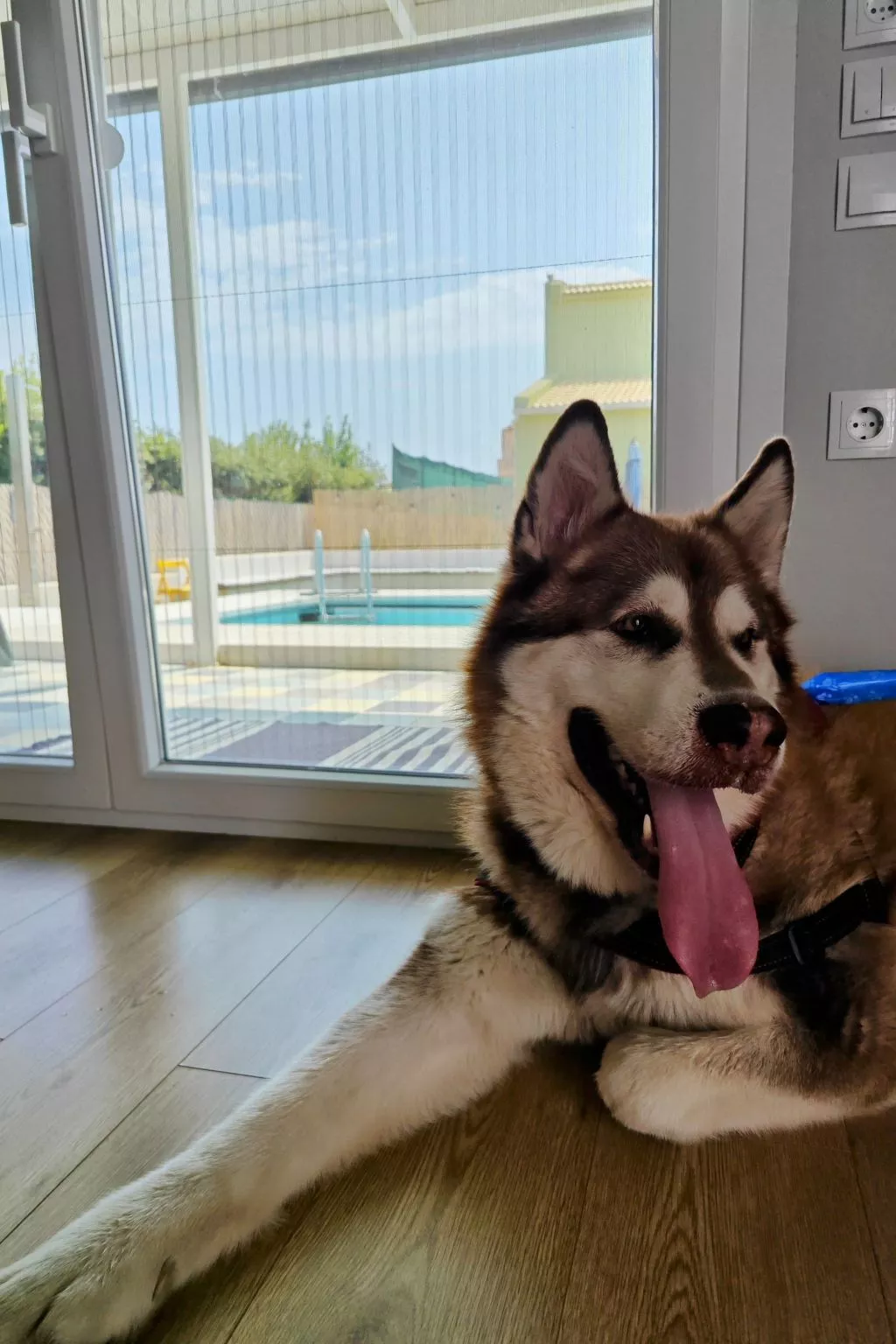 Kinderfreundliche Pool Villa 5p Seaside Beach Forest-Dedans