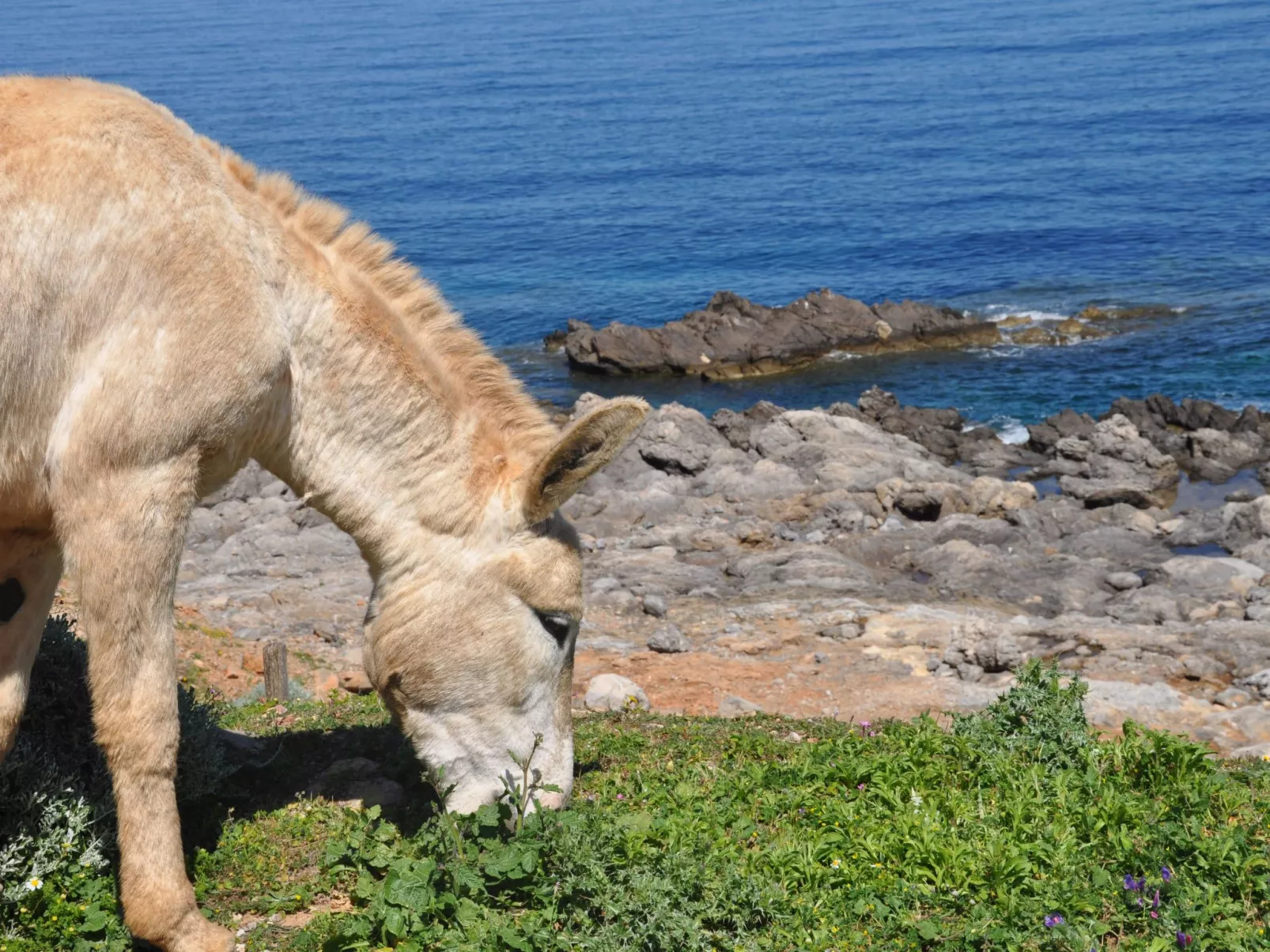 Marettimo' Wohnung in Strandnähe-Dehors